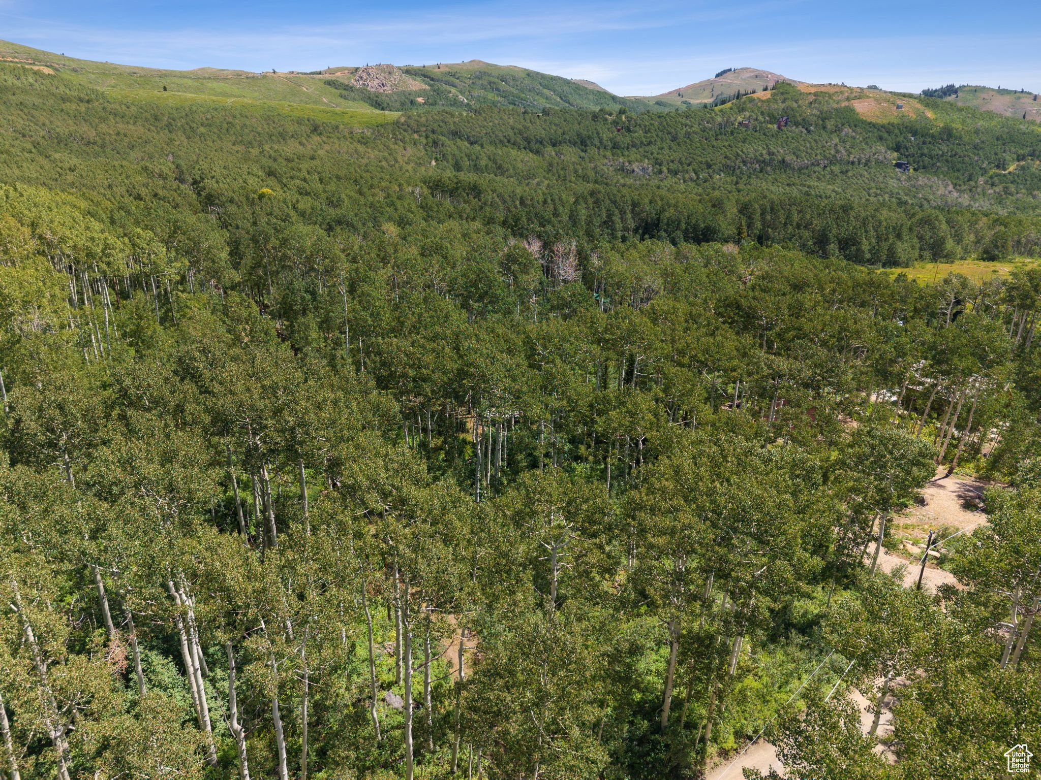 BRIGHTON ESTATES - Land