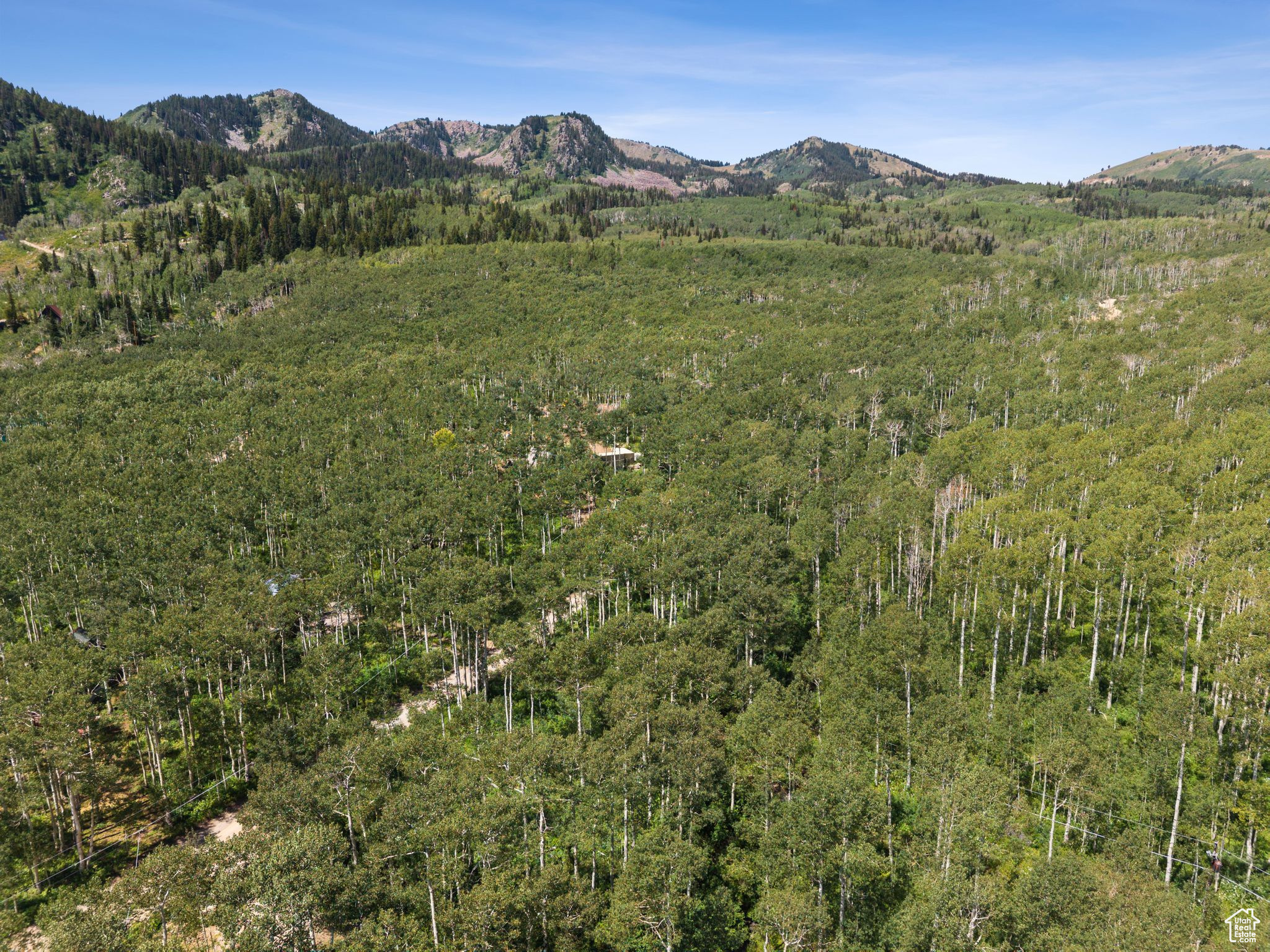 BRIGHTON ESTATES - Land