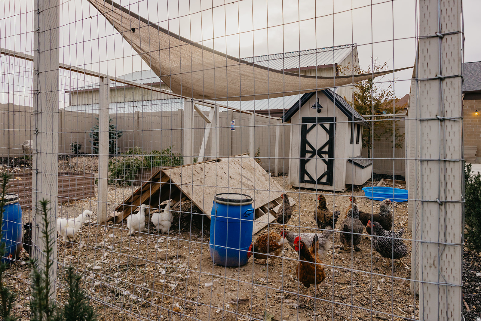 RIDGE ESTATES SUBDIV - Residential