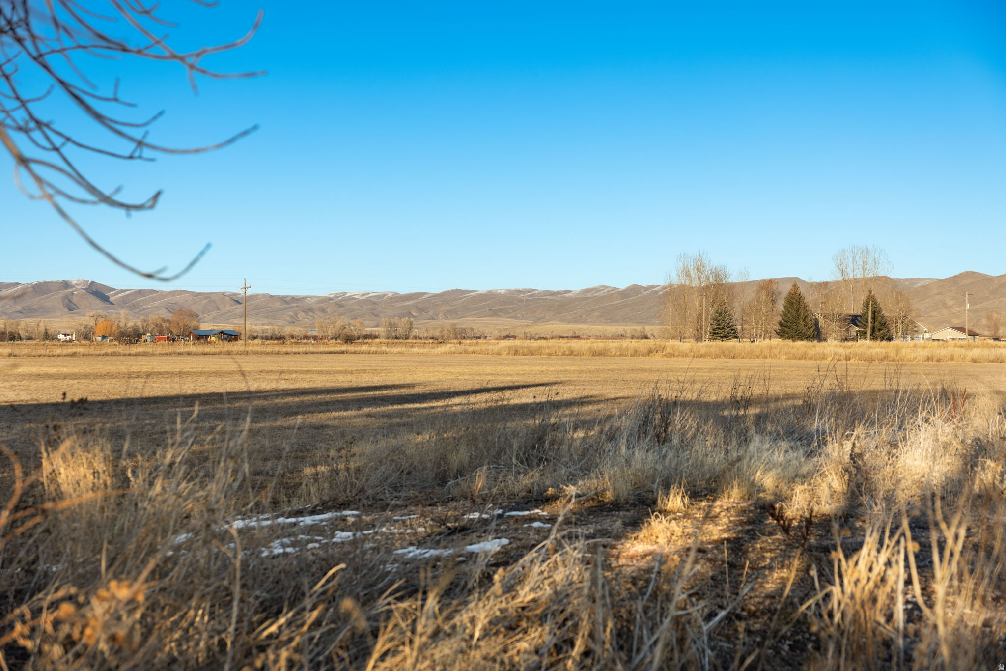 PRAIRIE DREAMS - Land