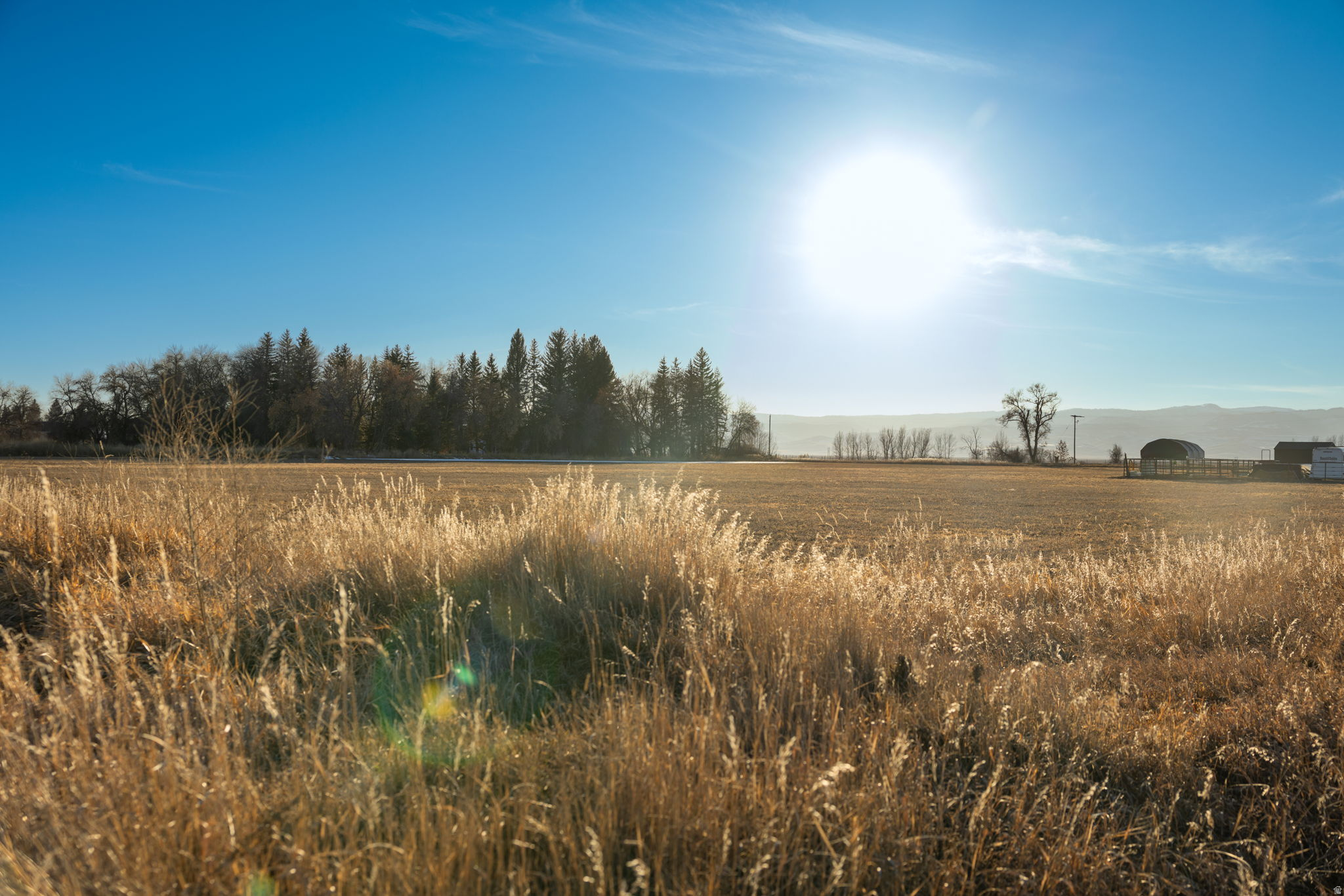PRAIRIE DREAMS - Land