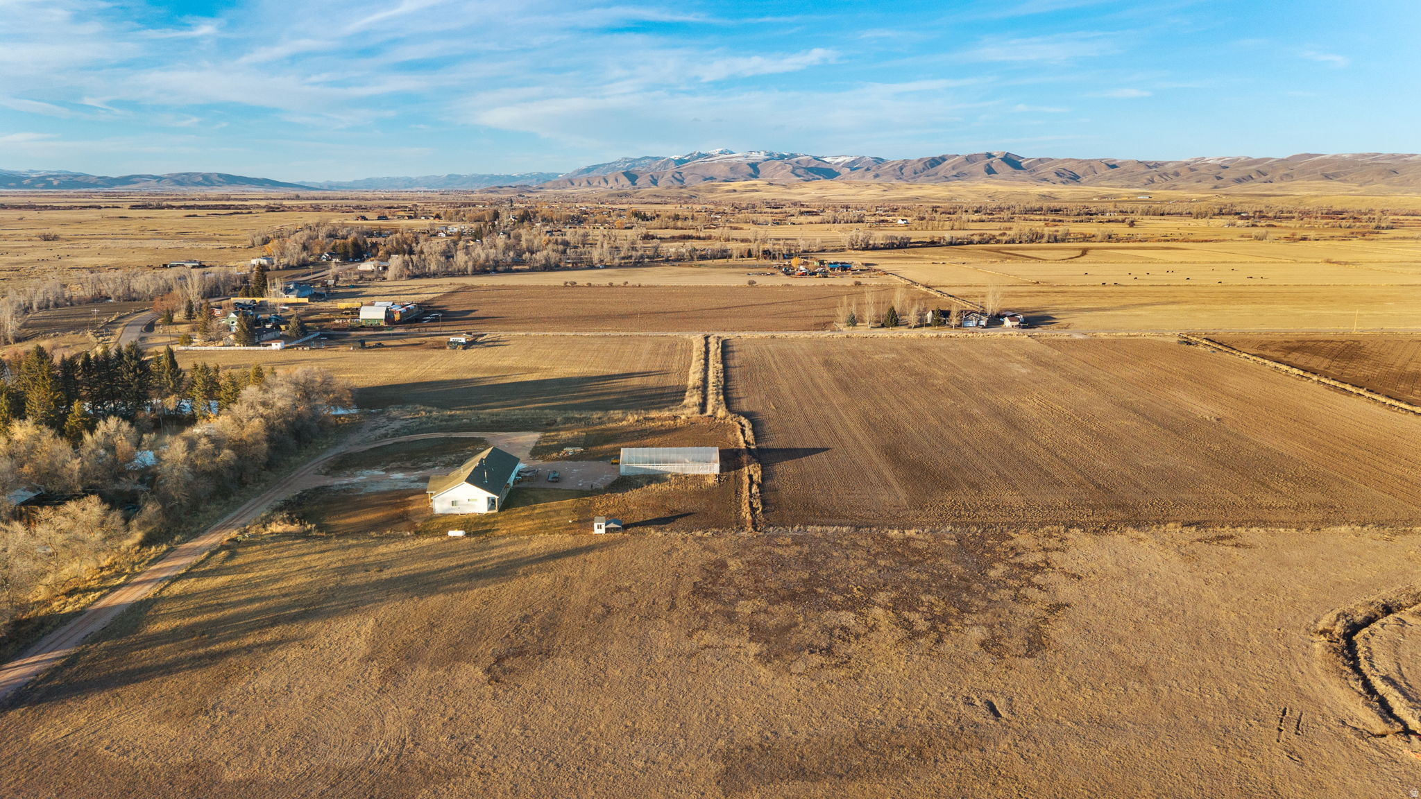 PRAIRIE DREAMS - Land