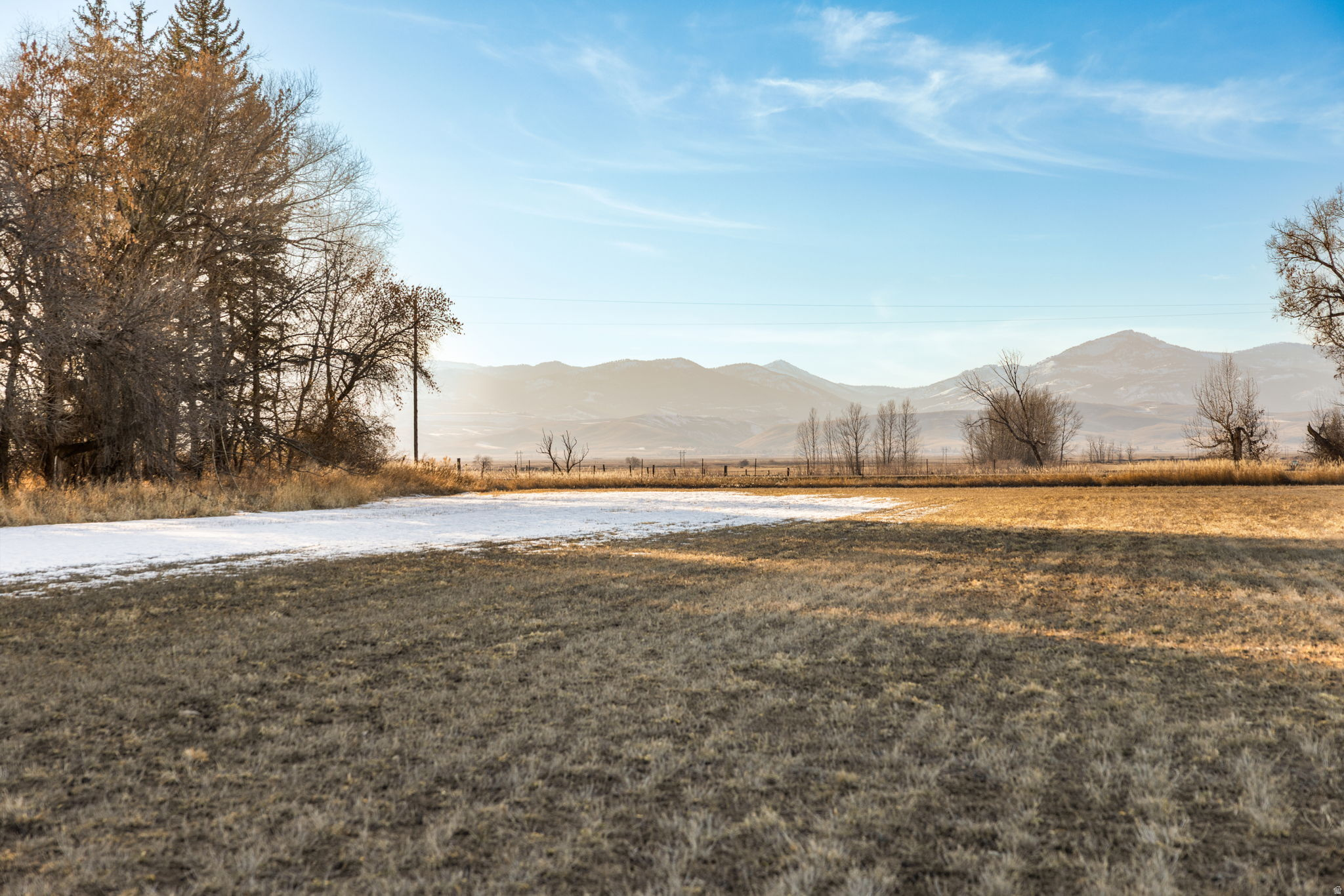 PRAIRIE DREAMS - Land