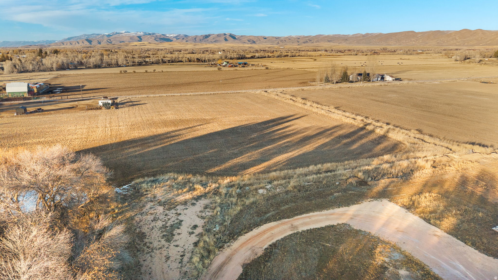 PRAIRIE DREAMS - Land