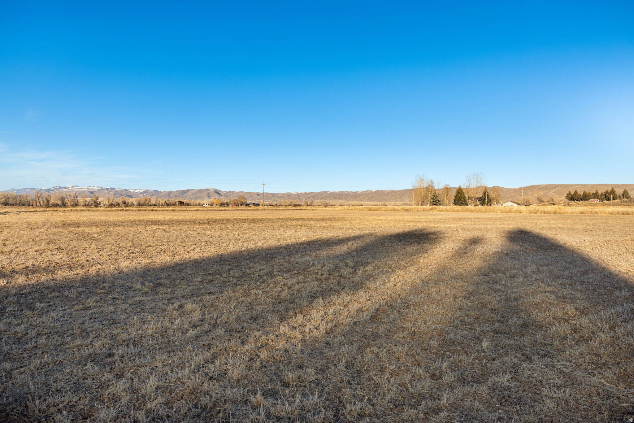 PRAIRIE DREAMS - Land