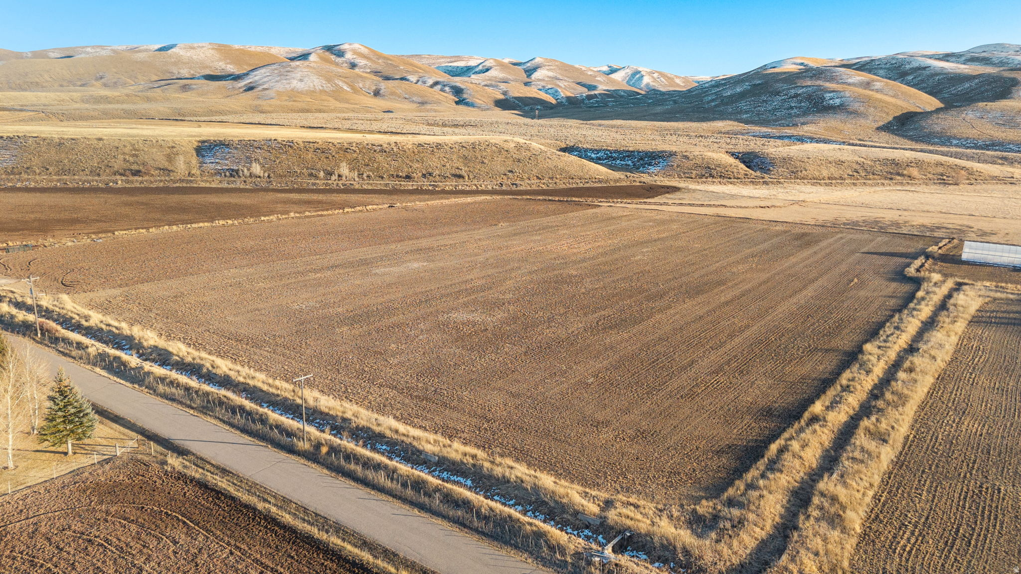 PRAIRIE DREAMS - Land