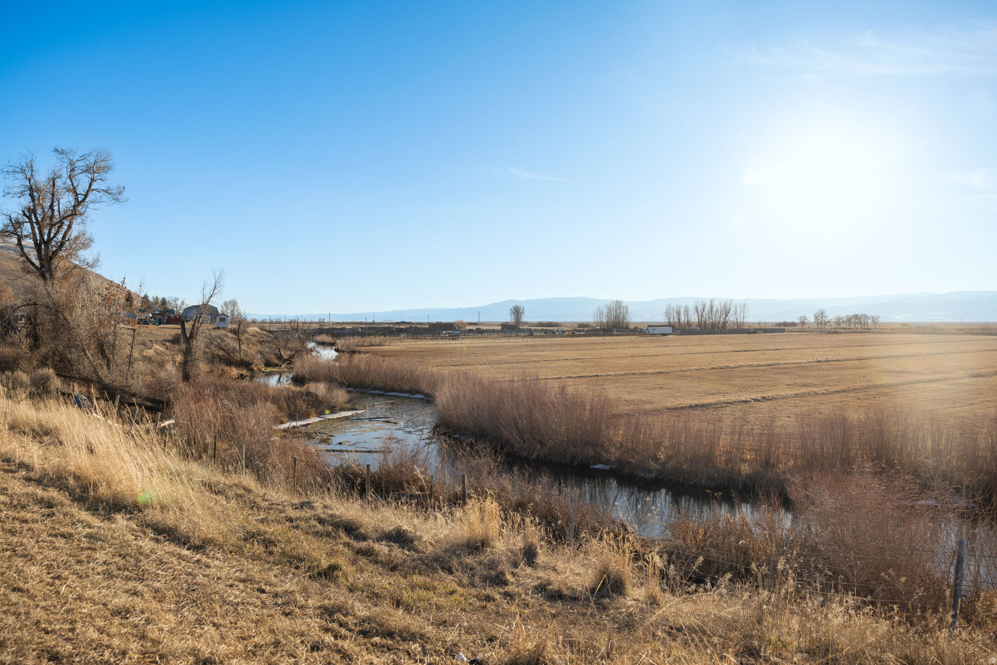 PRAIRIE DREAMS - Land