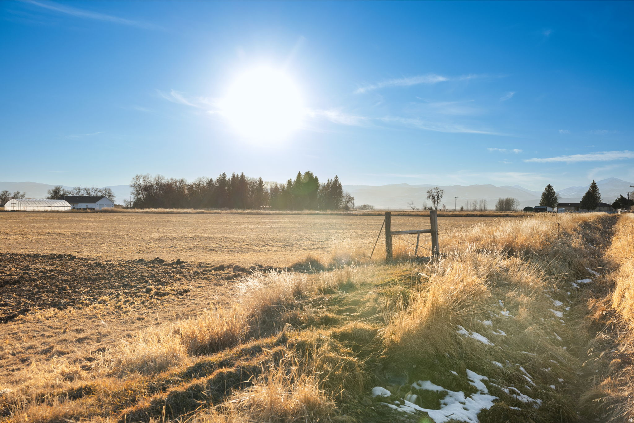 PRAIRIE DREAMS - Land