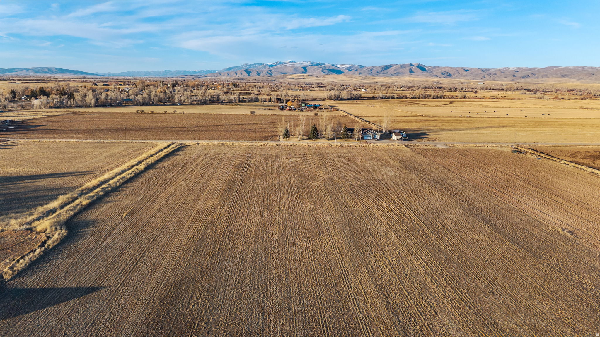 PRAIRIE DREAMS - Land