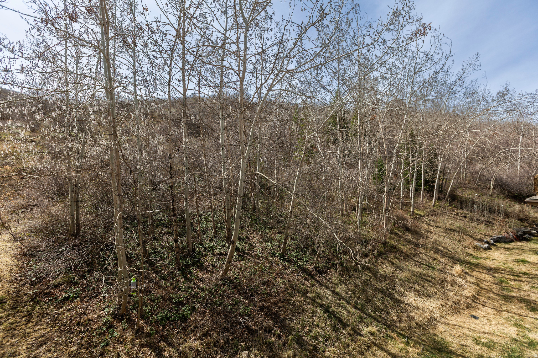 CANYON CROSSING - Residential