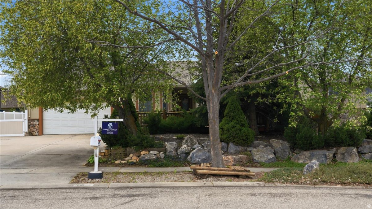 TIMP MEADOWS NORTH - Residential