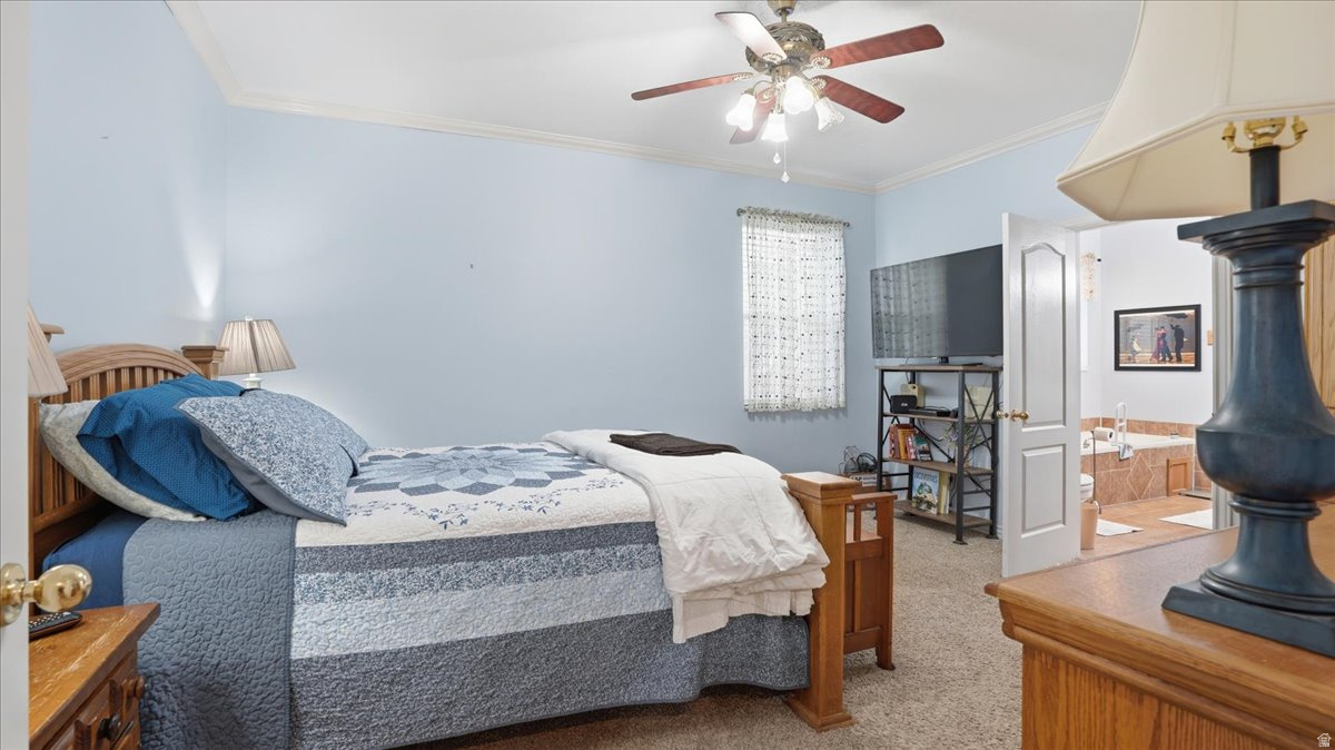 TIMP MEADOWS NORTH - Residential