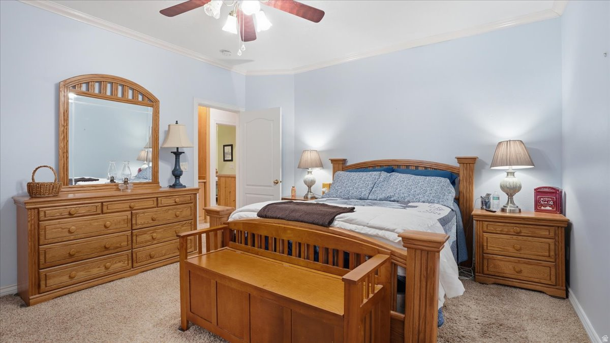 TIMP MEADOWS NORTH - Residential