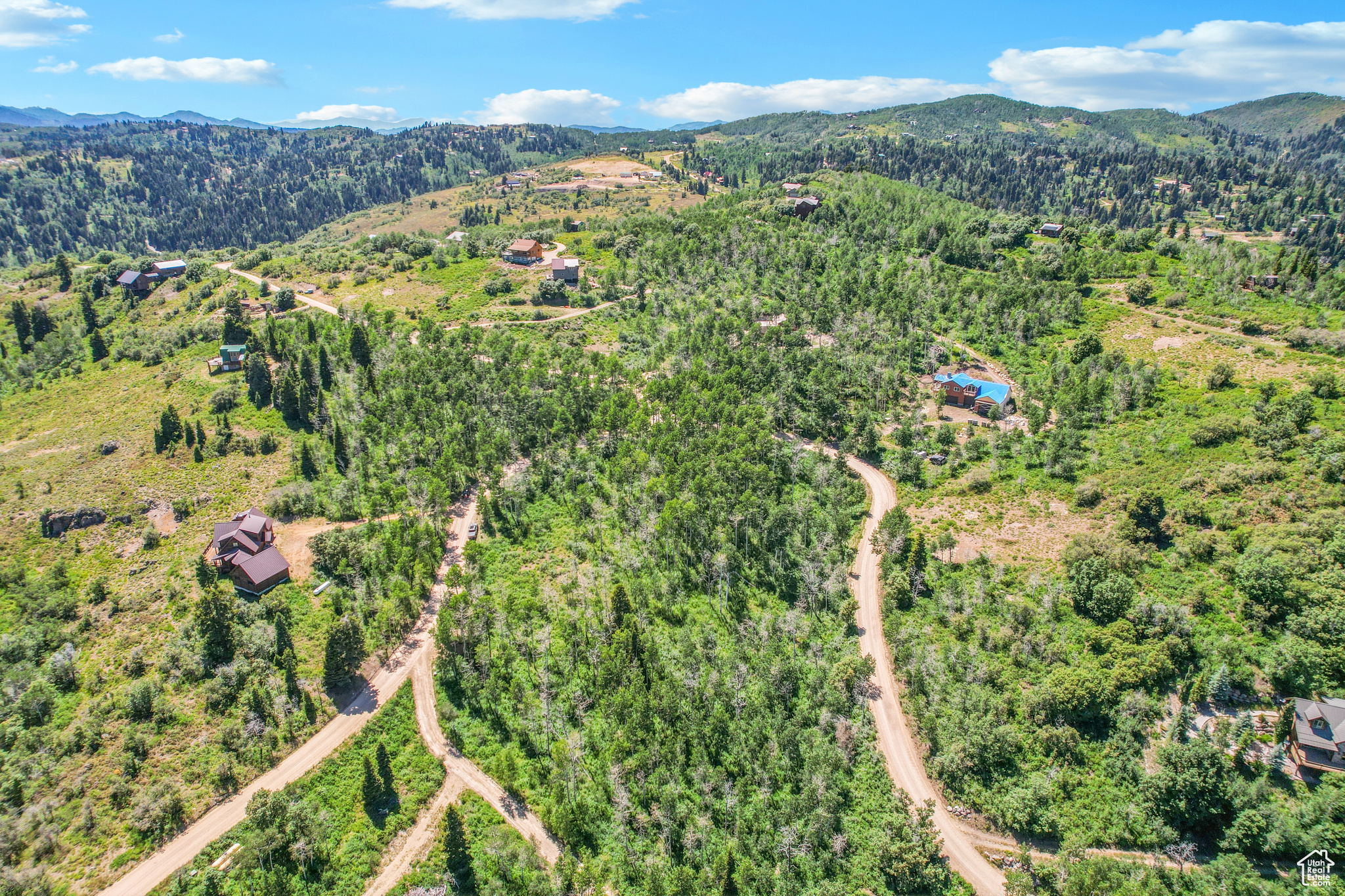 FOREST MEADOW RANCH - Land