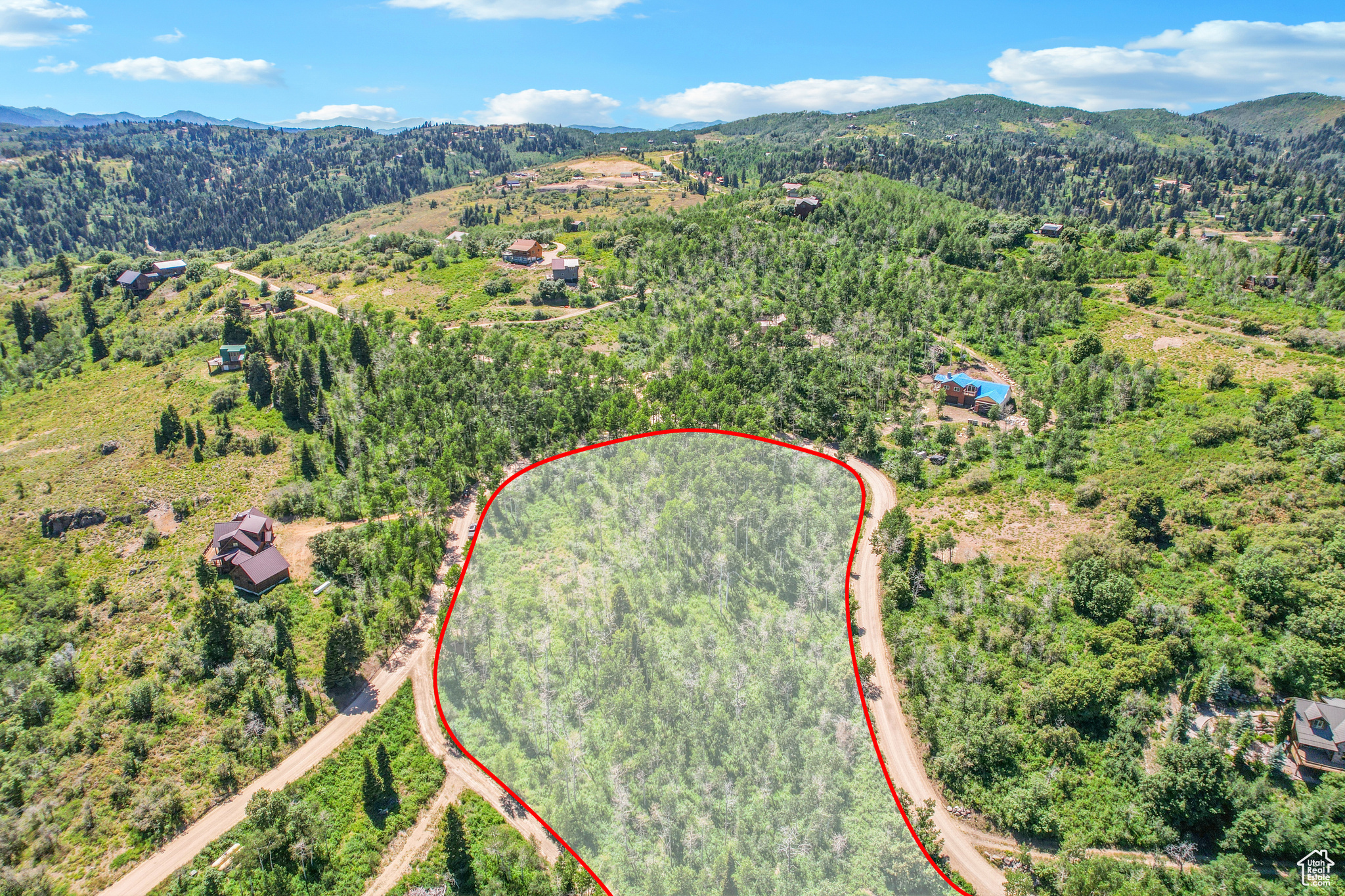 FOREST MEADOW RANCH - Land