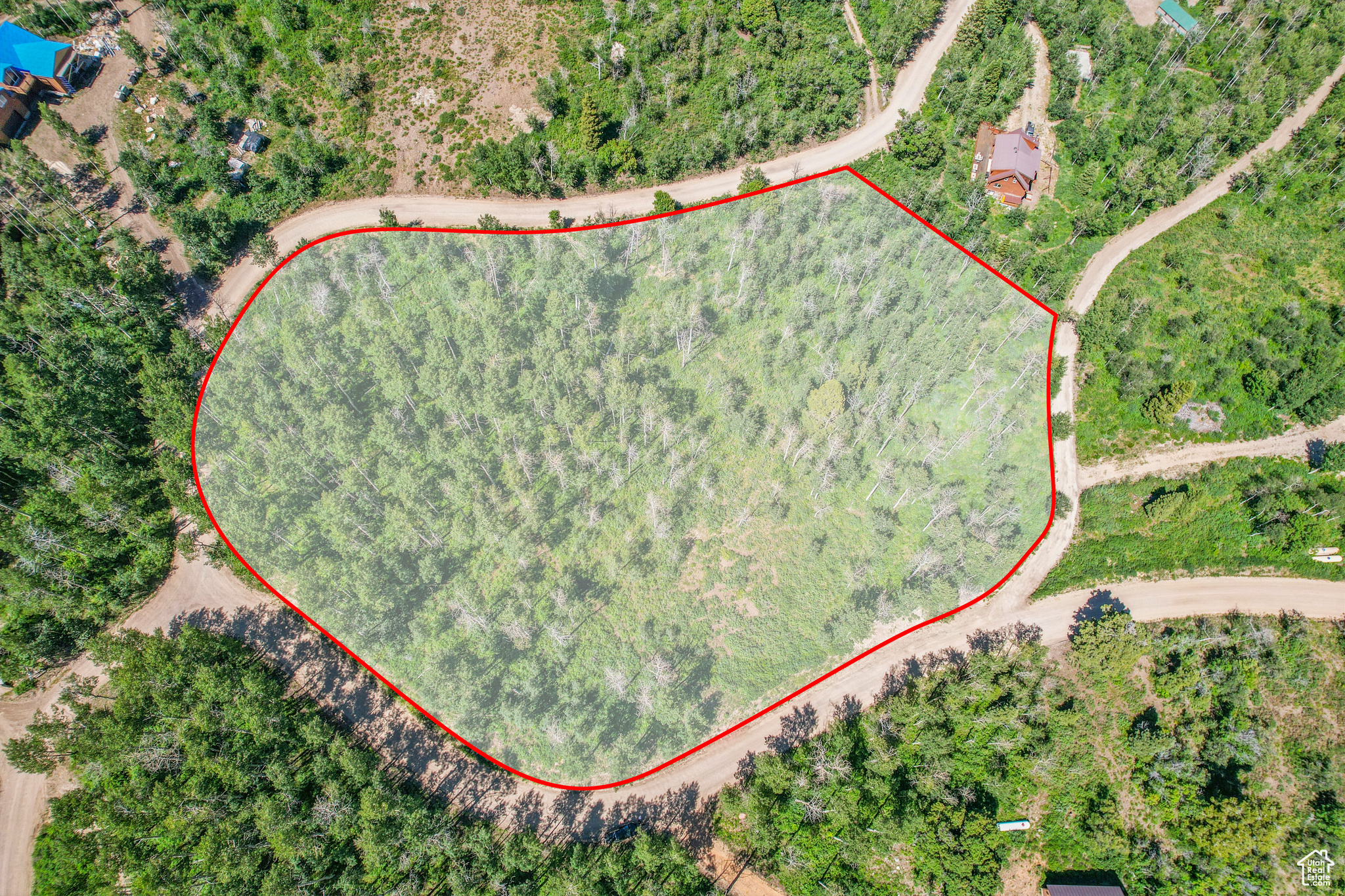 FOREST MEADOW RANCH - Land