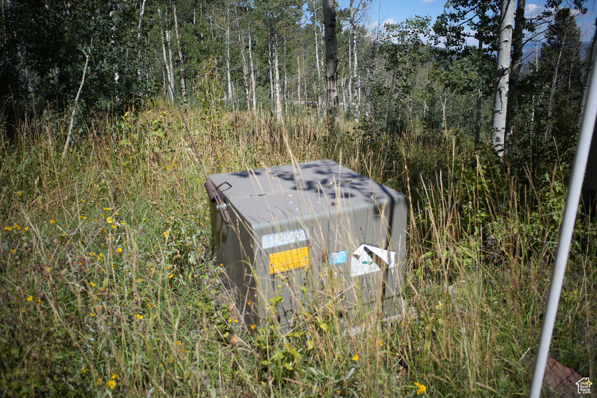 FOREST MEADOW RANCH - Land
