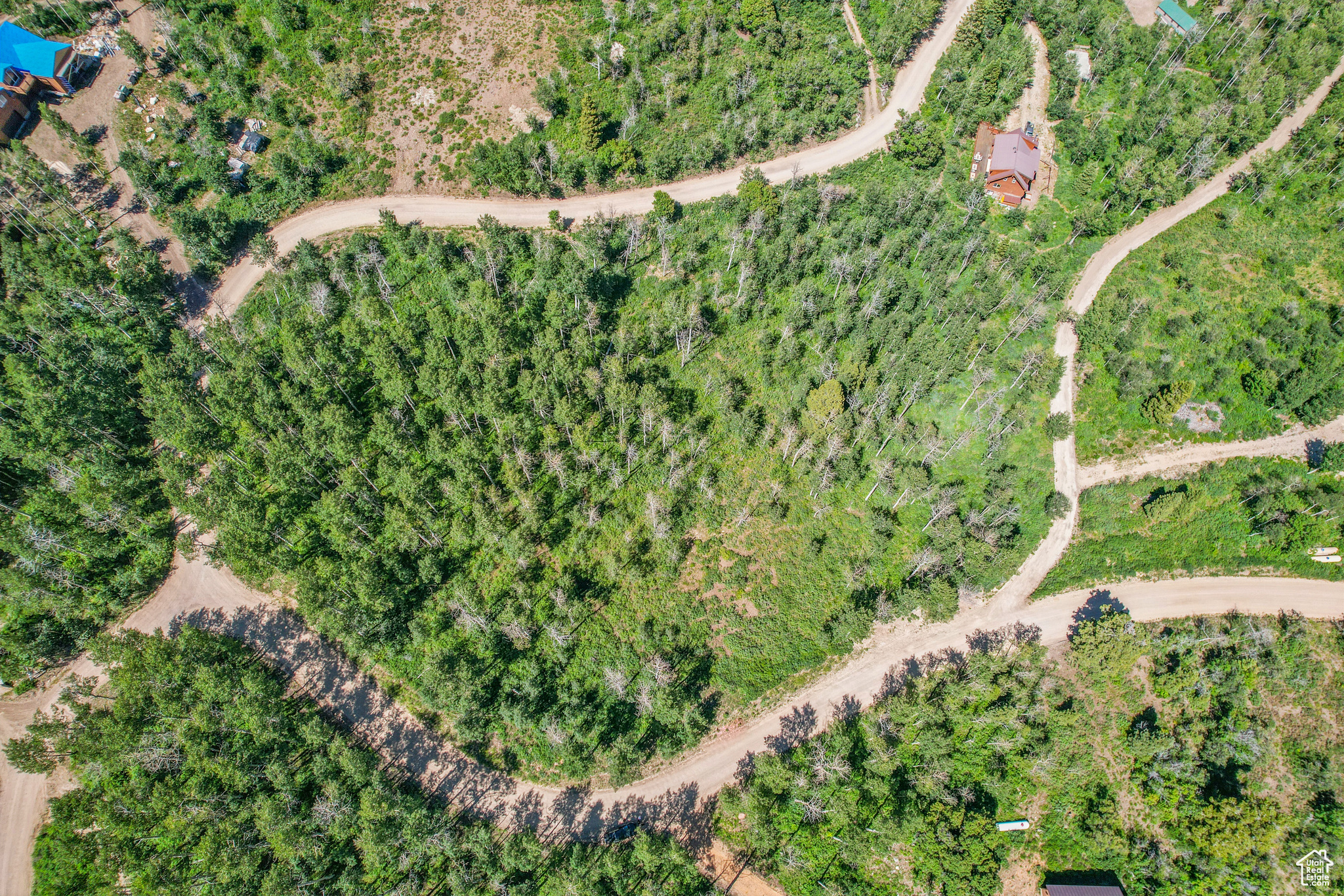 FOREST MEADOW RANCH - Land