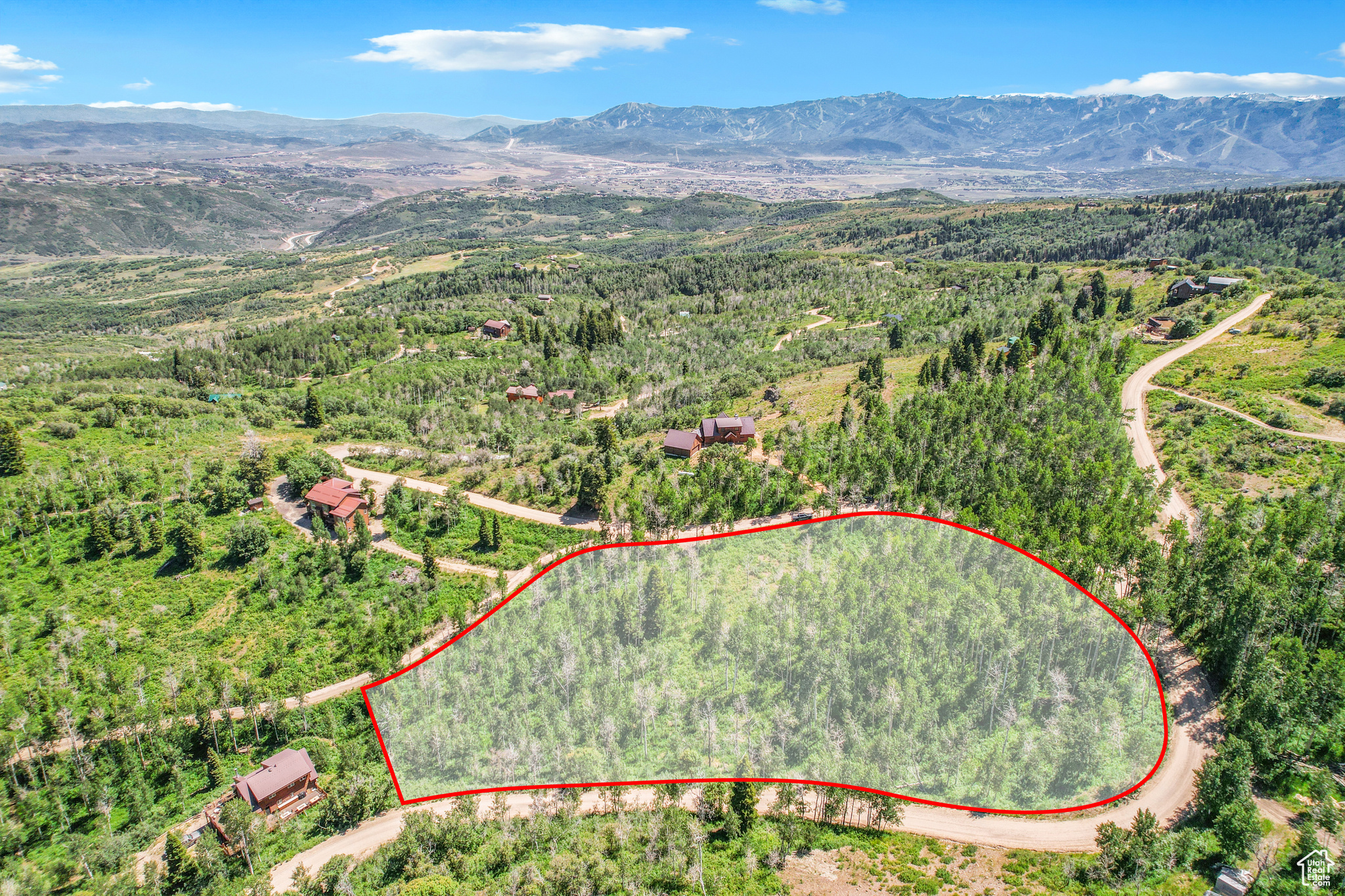 FOREST MEADOW RANCH - Land