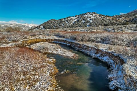 Tiny photo for Fairview, UT 84629 (MLS # 2141247)
