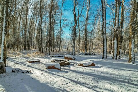 Tiny photo for Fairview, UT 84629 (MLS # 2141247)