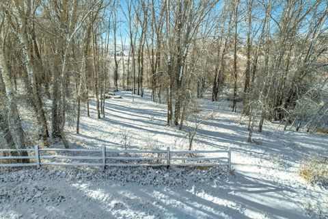 Tiny photo for Fairview, UT 84629 (MLS # 2141247)