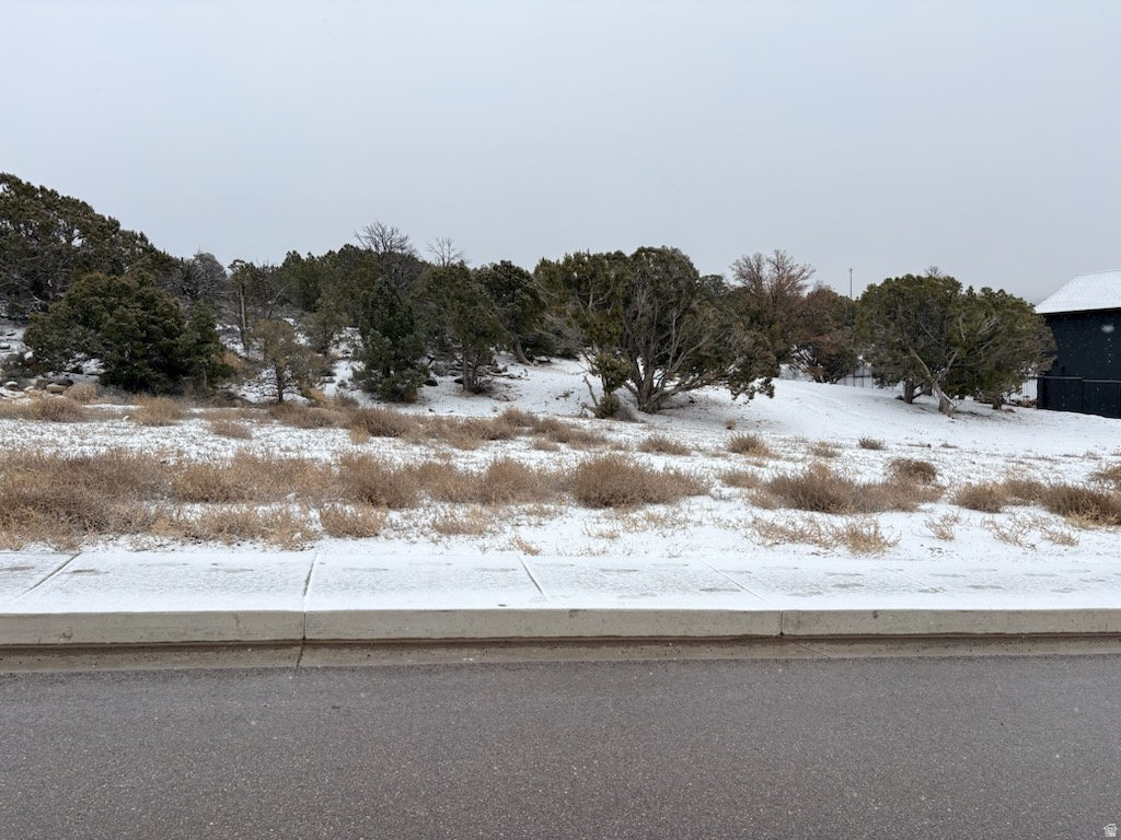 SADDLEBACK RIDGE PHASE 5 - Land