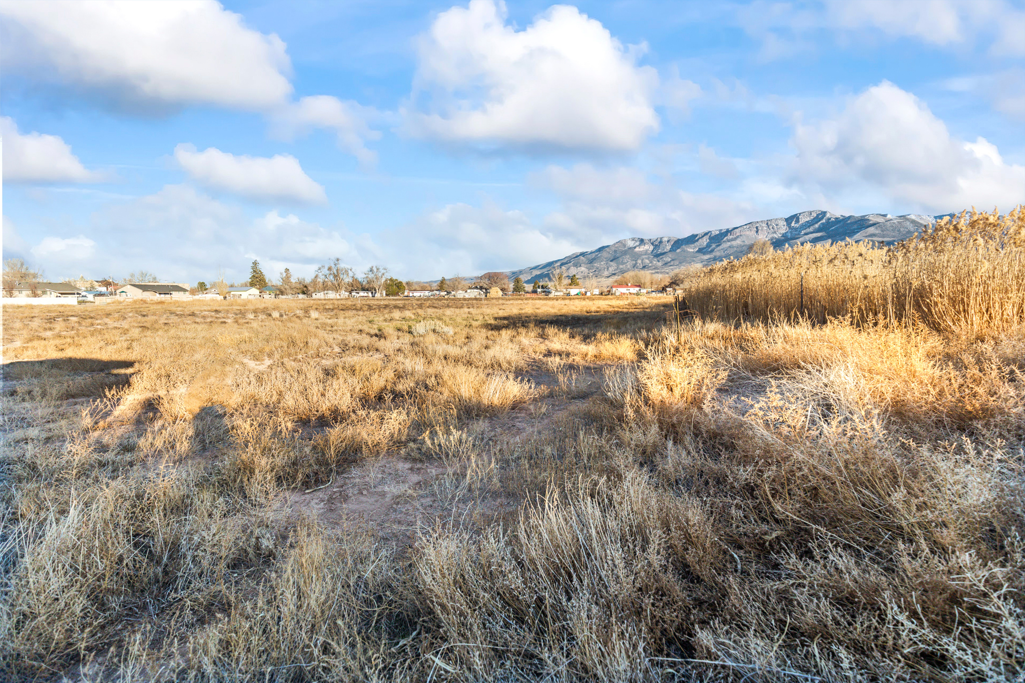 SHADY MEADOWS SUBDIVISION - Land