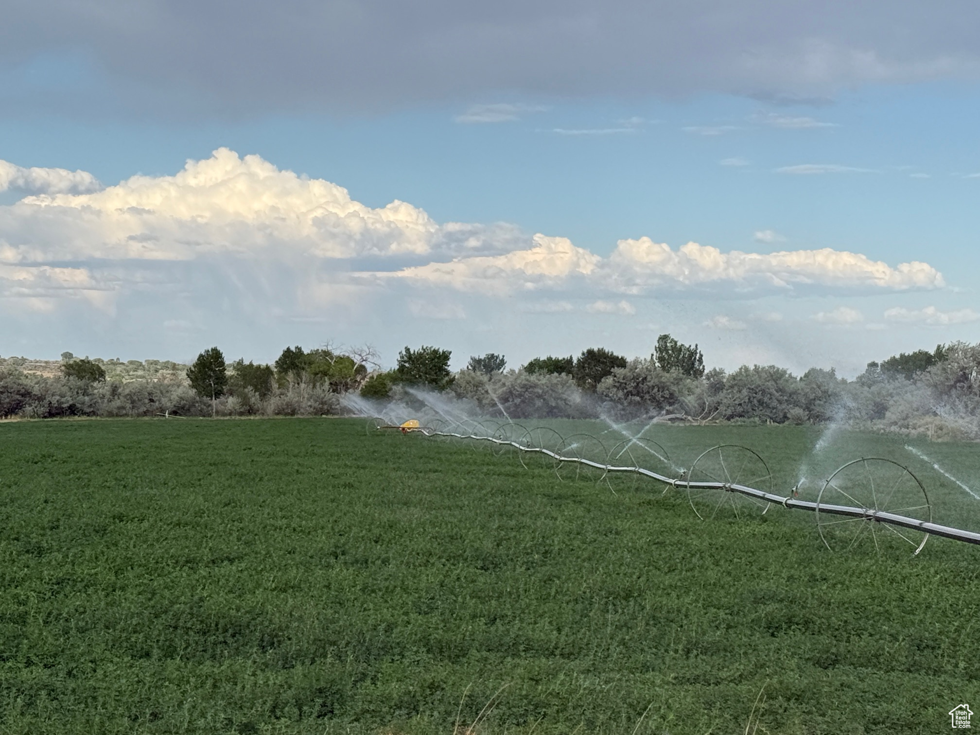 If you are looking for ground for that farm or homestead, look no further. This property has culinary water available, 10 acres of high producing alfalfa, pasture, a free flowing well, frontage on 2 paved county road, and close power. Property includes wheel line and 10 dry gulch water shares.