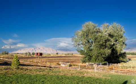 Tiny photo for 11448 W HIGHWAY 6, Goshen, UT 84633 (MLS # 2112250)
