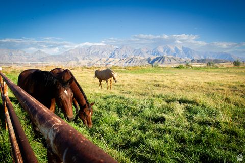 Tiny photo for 11448 W HIGHWAY 6, Goshen, UT 84633 (MLS # 2112250)