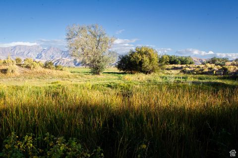 Tiny photo for 11448 W HIGHWAY 6, Goshen, UT 84633 (MLS # 2112250)