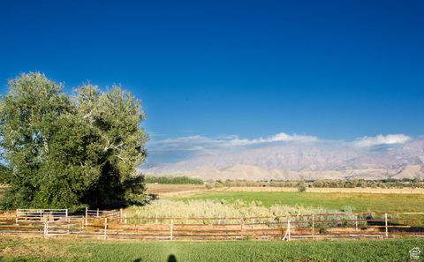 Tiny photo for 11448 W HIGHWAY 6, Goshen, UT 84633 (MLS # 2112250)