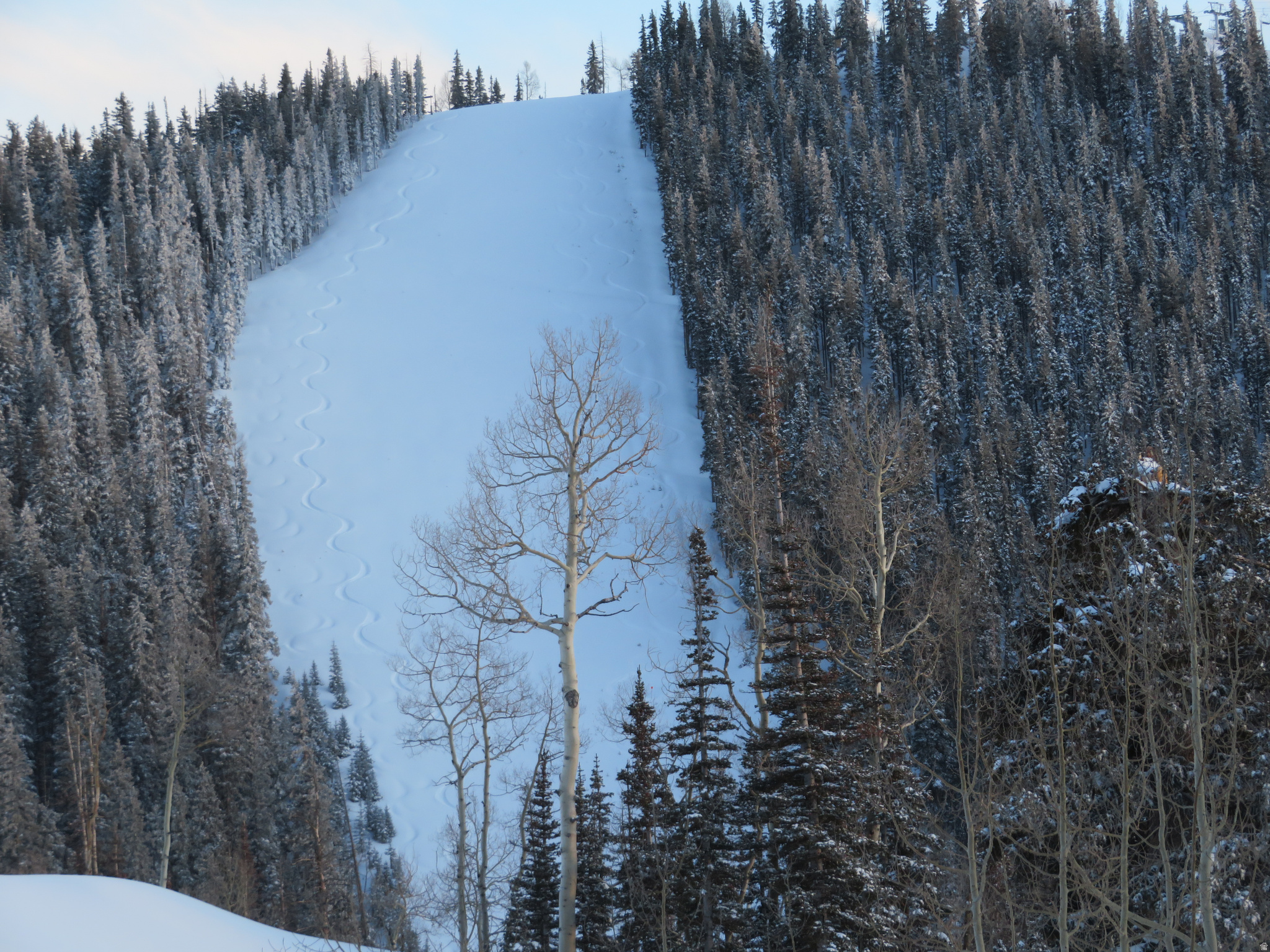 TUSHAR MOUNTAIN - Land