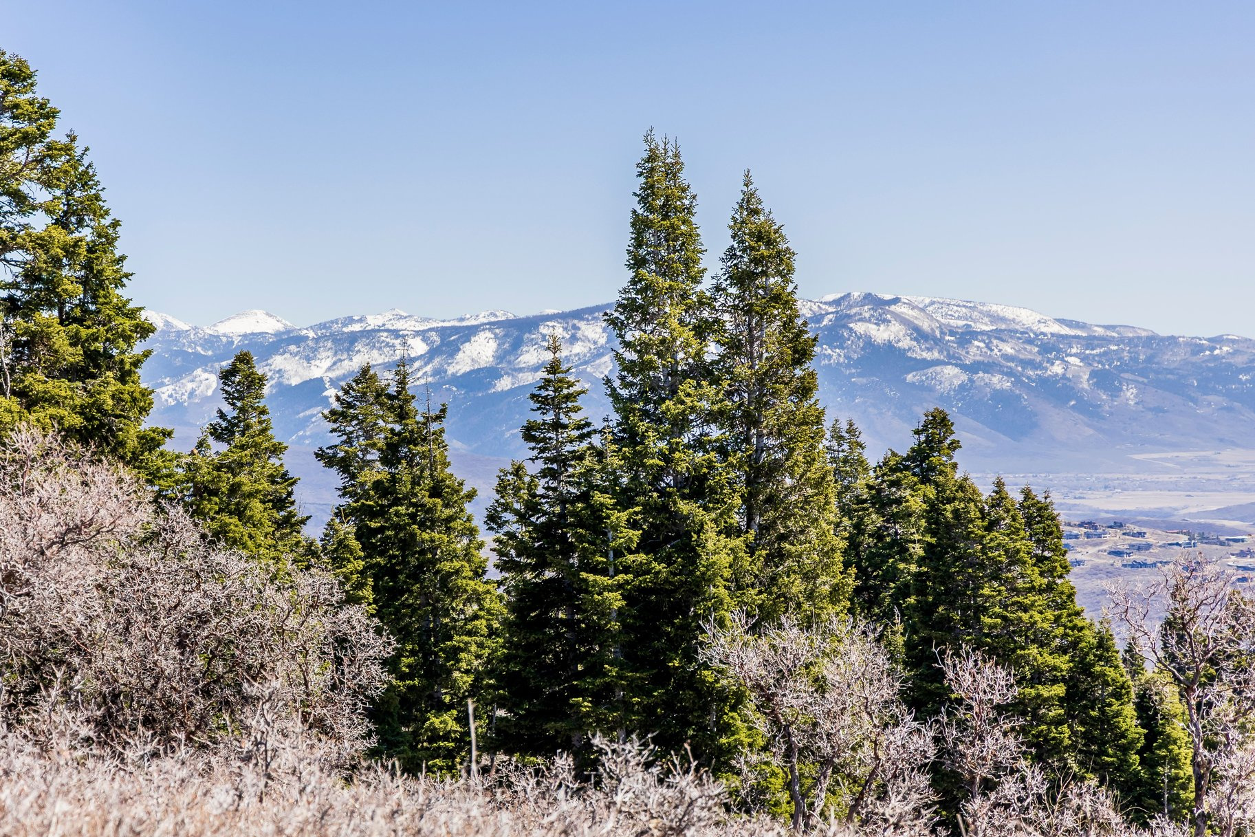 STAGE COACH ESTATES - Land