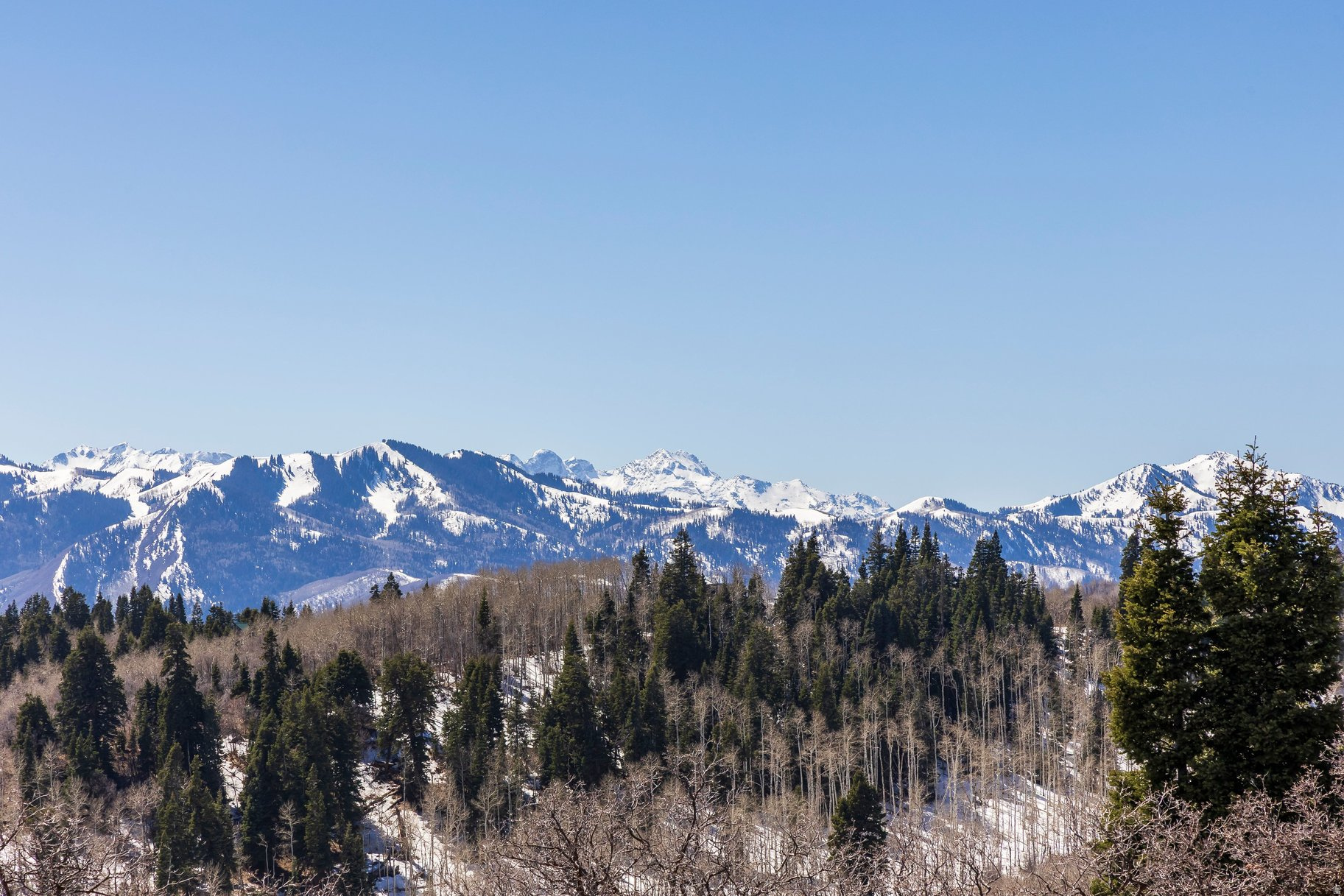 STAGE COACH ESTATES - Land