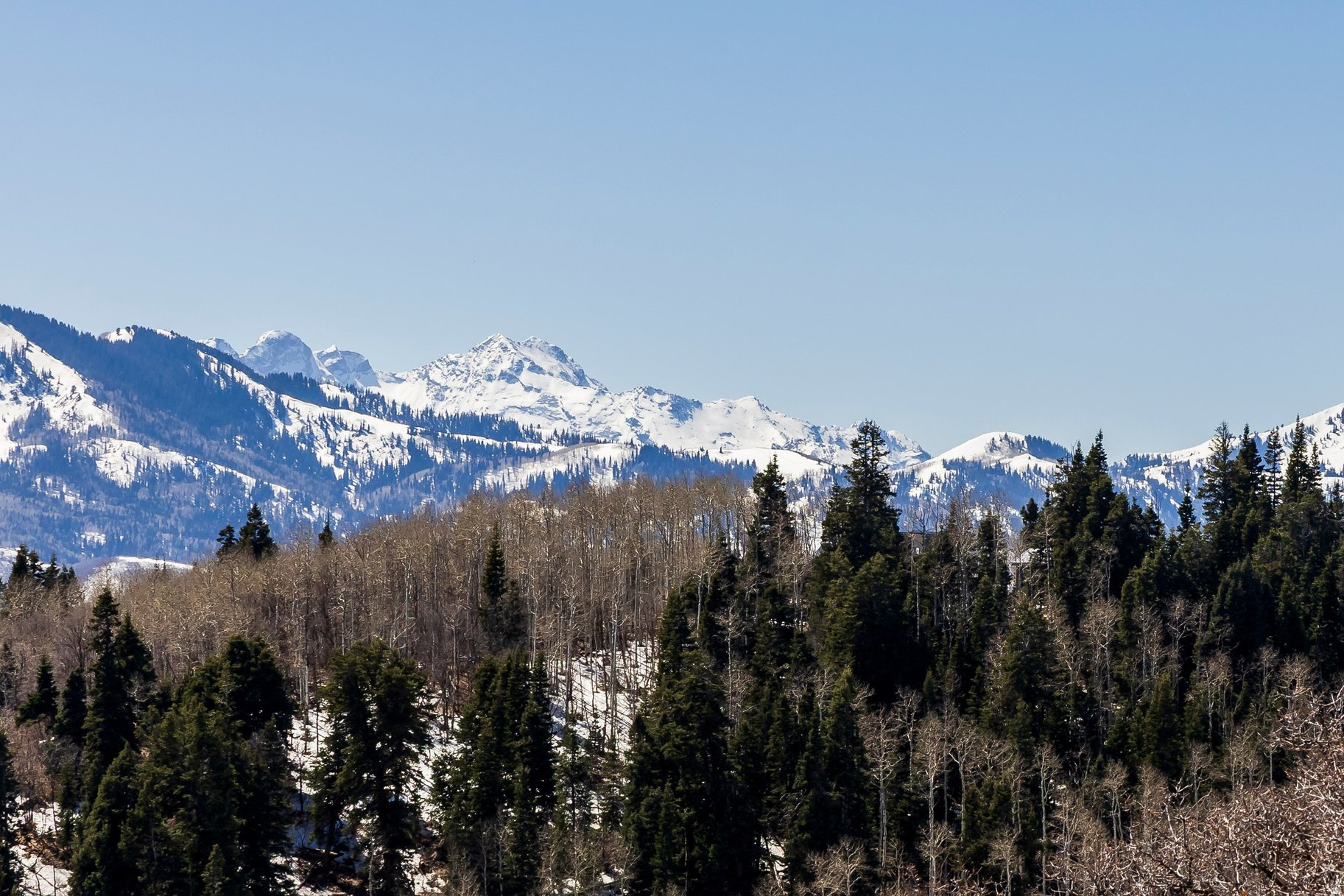 STAGE COACH ESTATES - Land