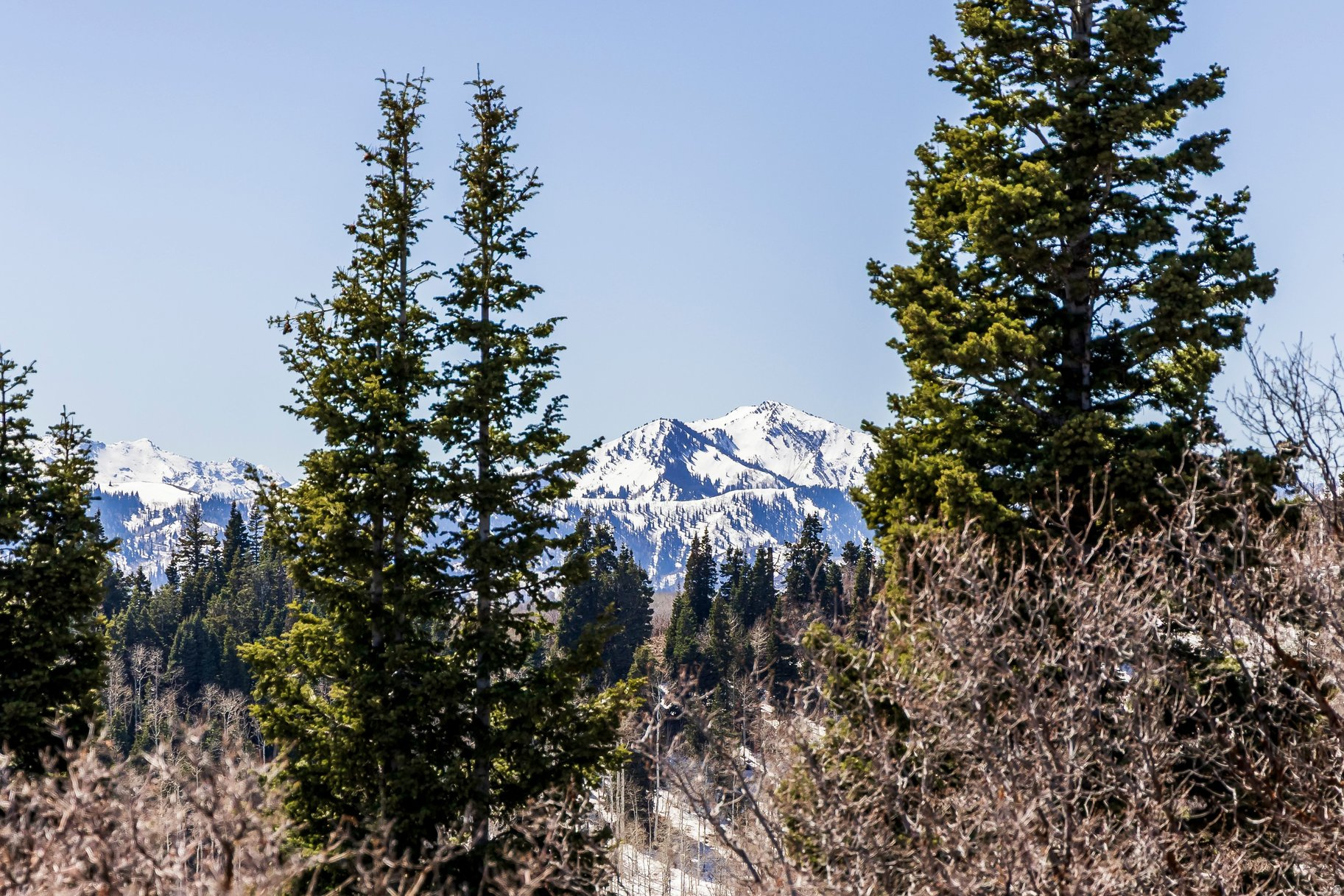 STAGE COACH ESTATES - Land