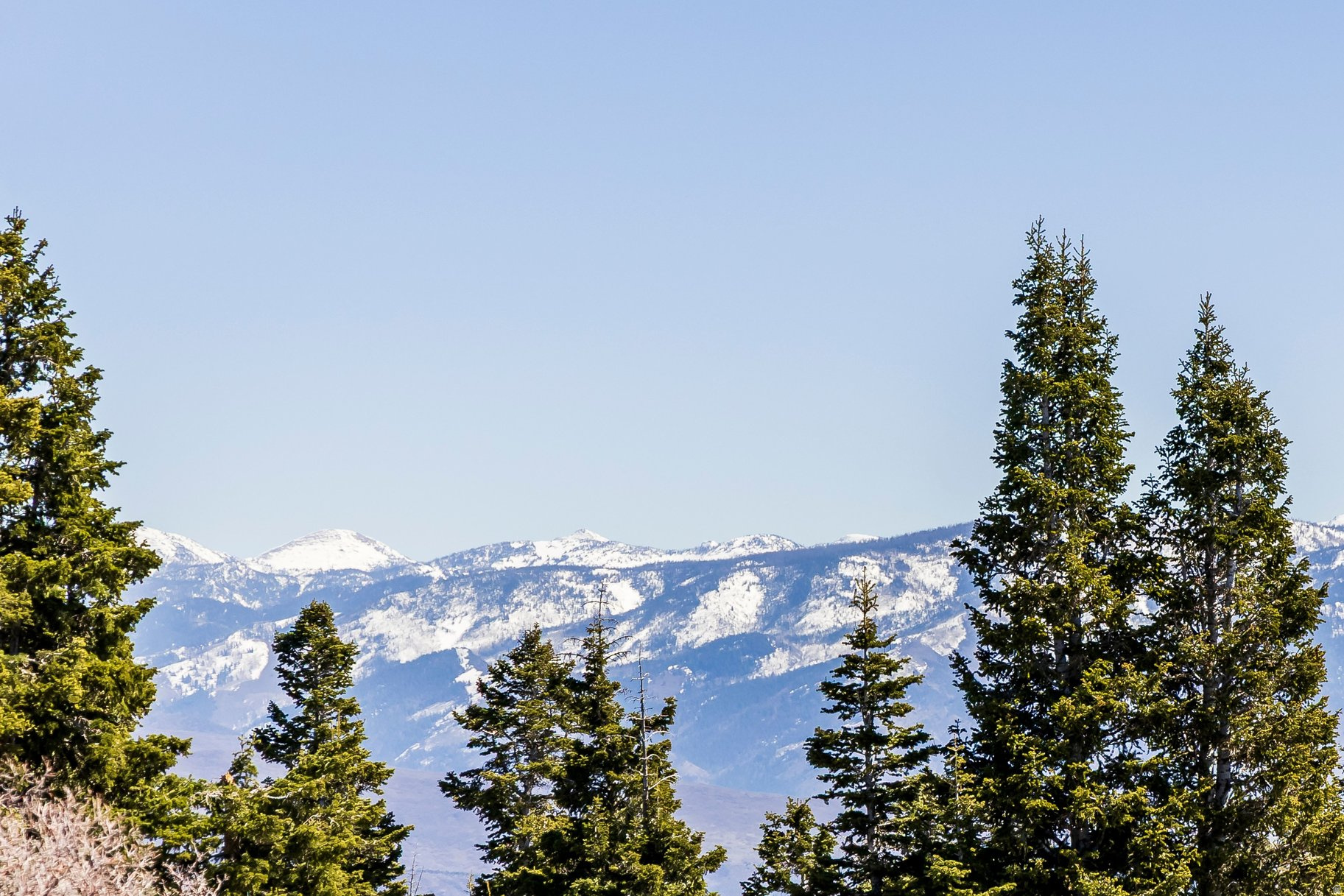 STAGE COACH ESTATES - Land