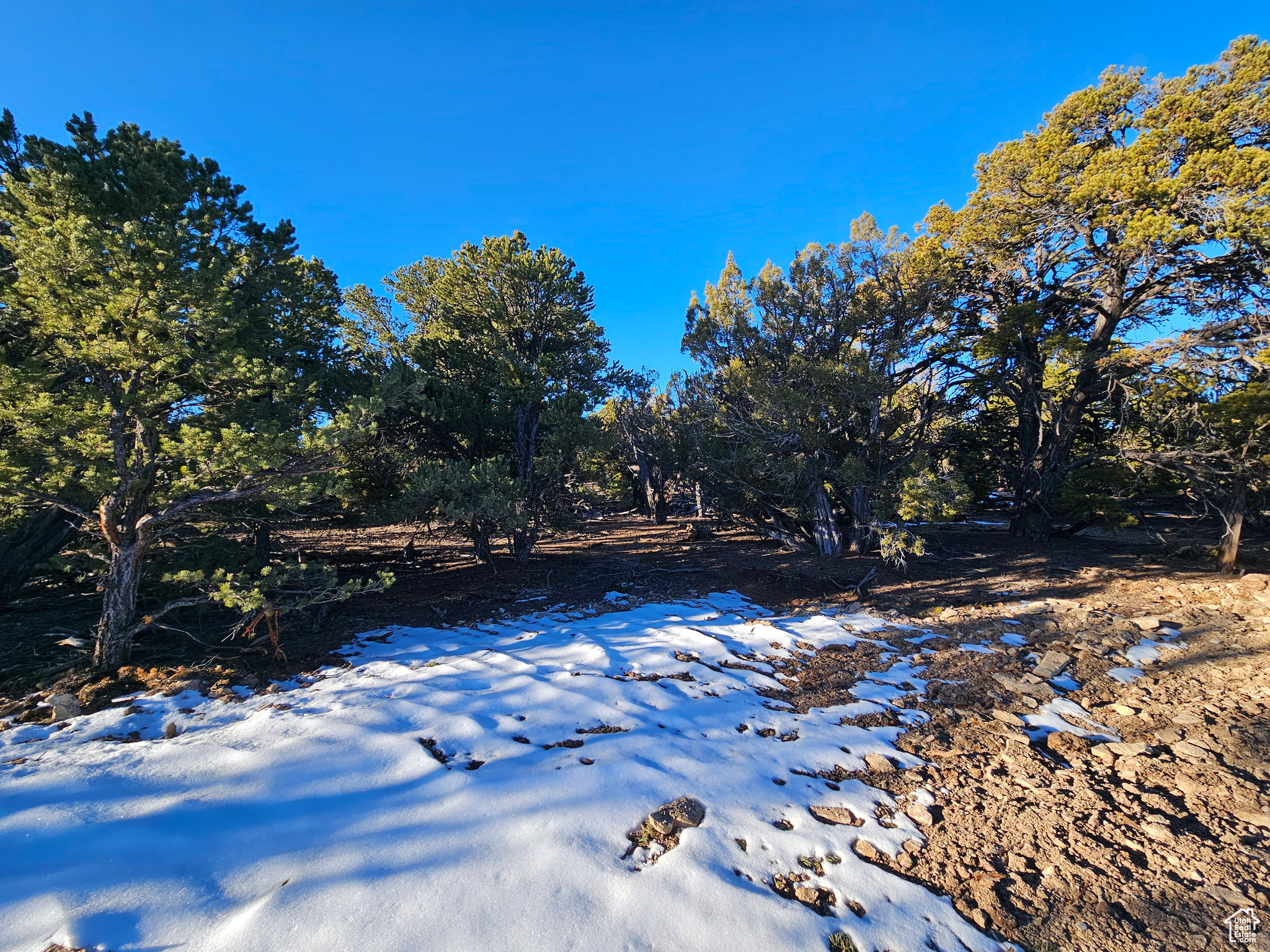 #11, Duchesne, Utah image 17