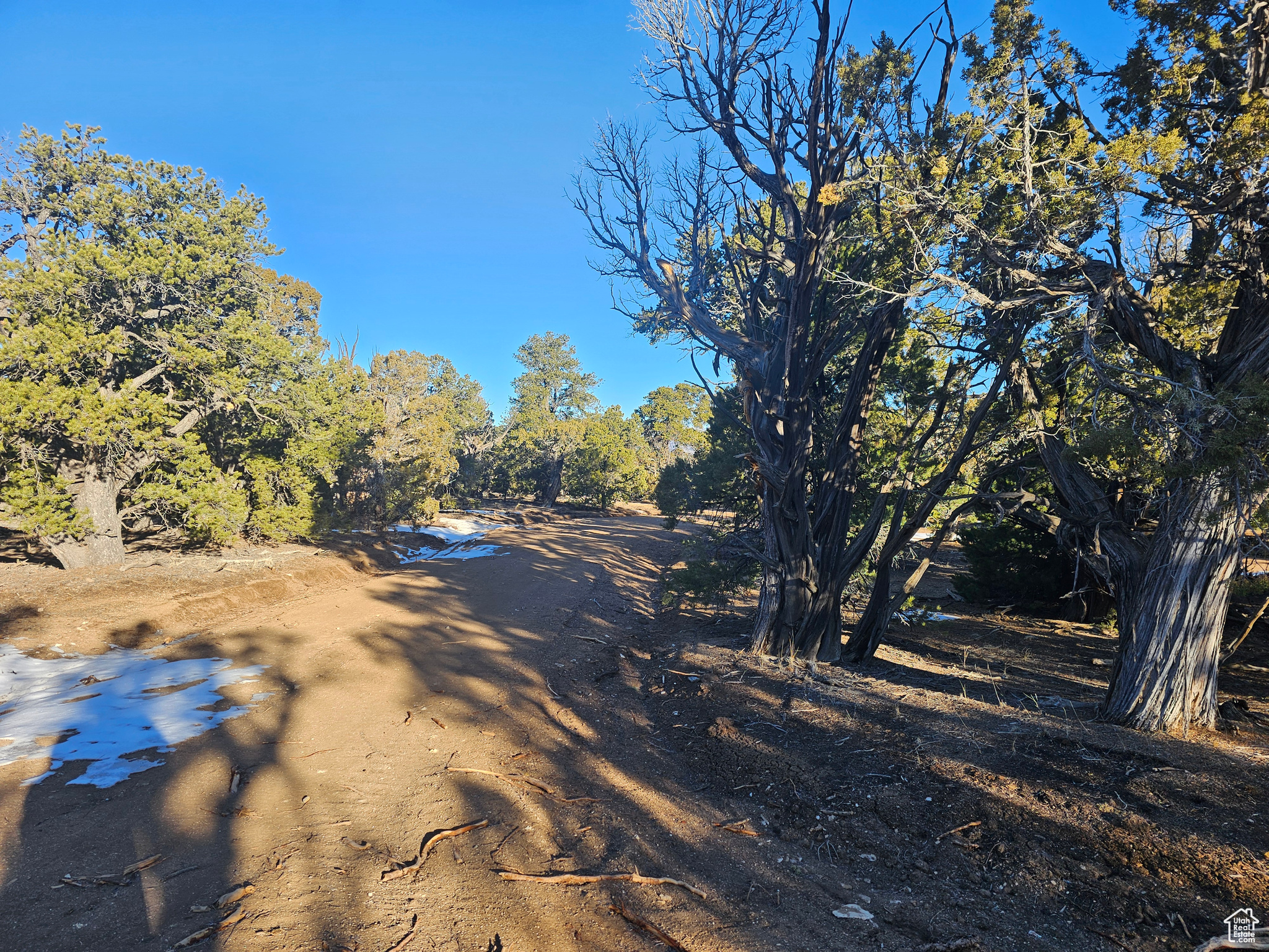 #11, Duchesne, Utah image 4