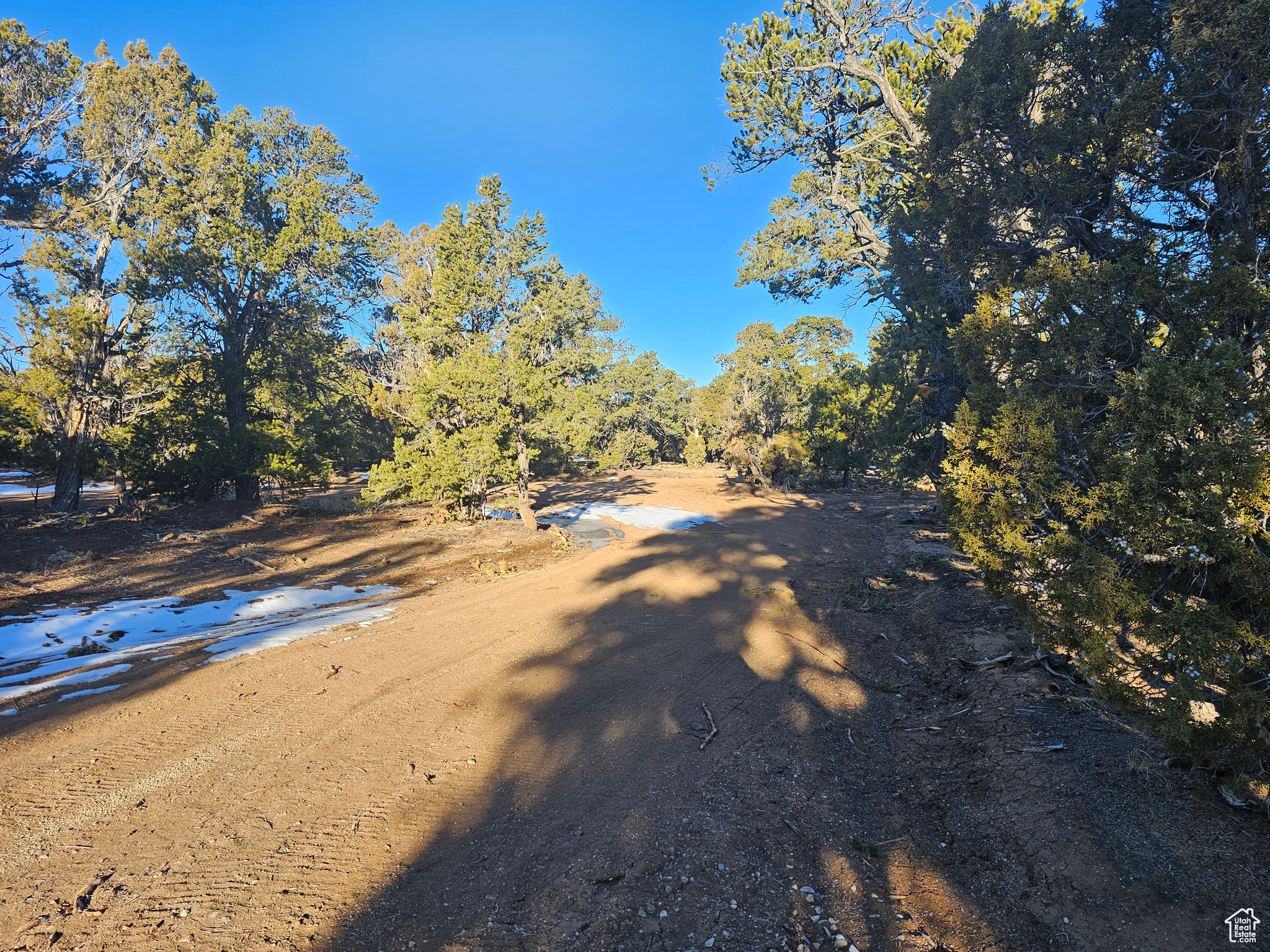 #11, Duchesne, Utah image 8