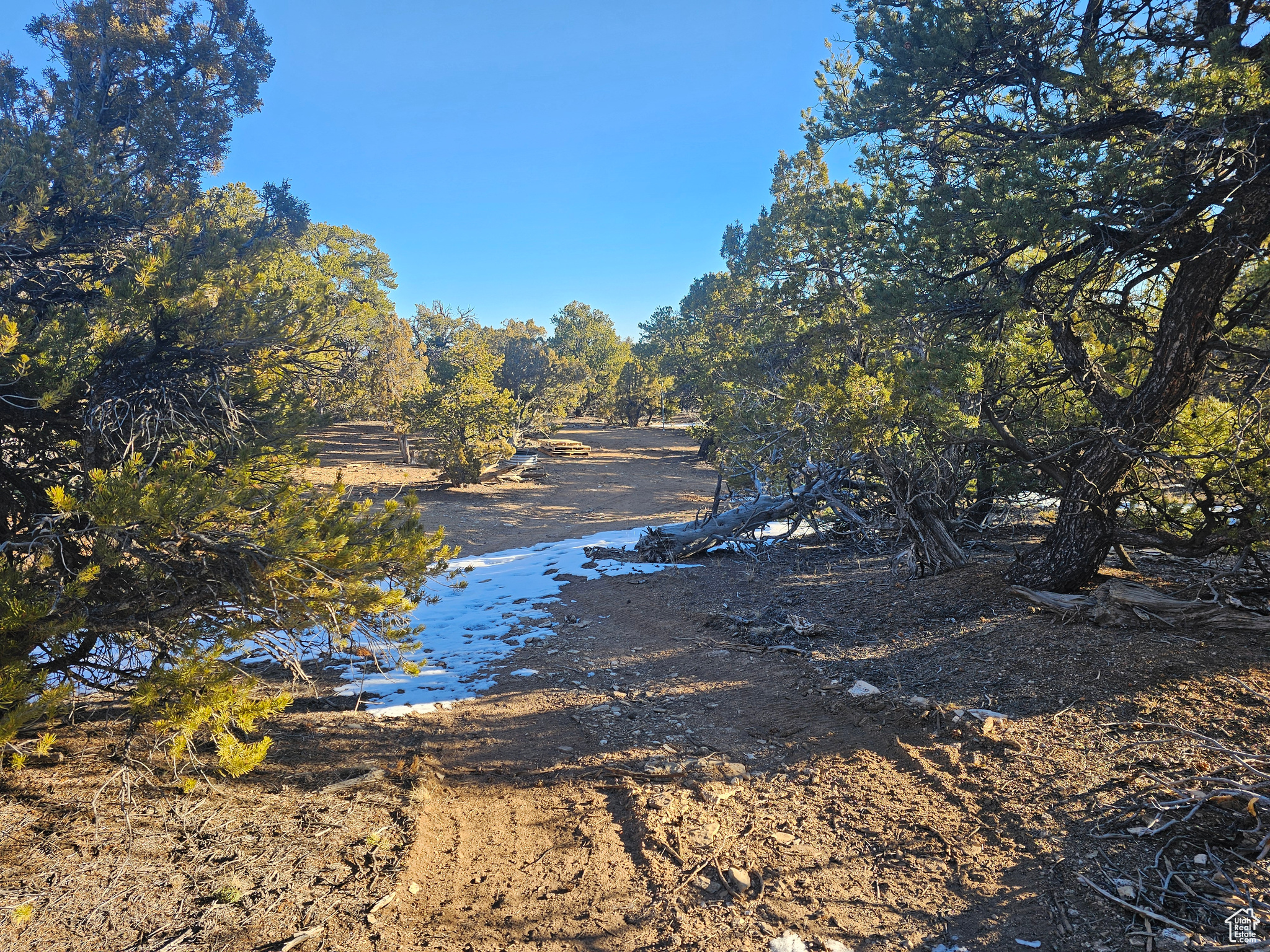 #11, Duchesne, Utah image 14