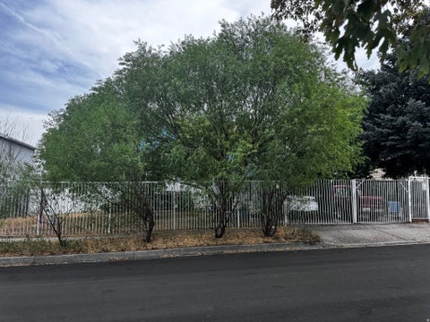 Tiny photo for 5767 W DALE AMOUR DR, Kearns, UT 84118 (MLS # 2175706)