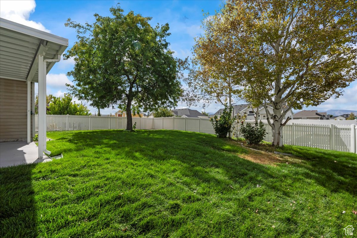 PICKET LANE - Residential