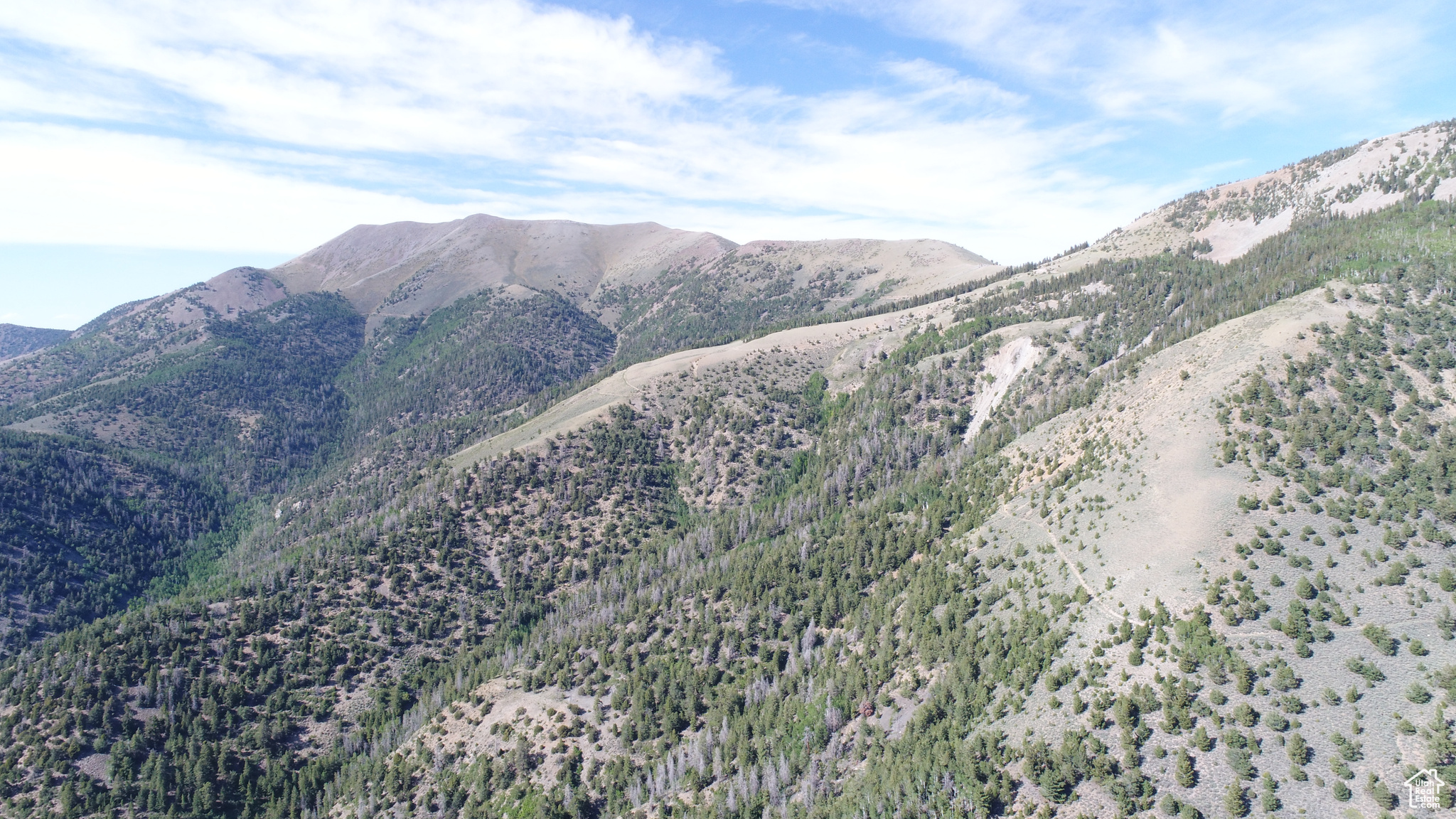 Land, Hanksville, Utah image 4