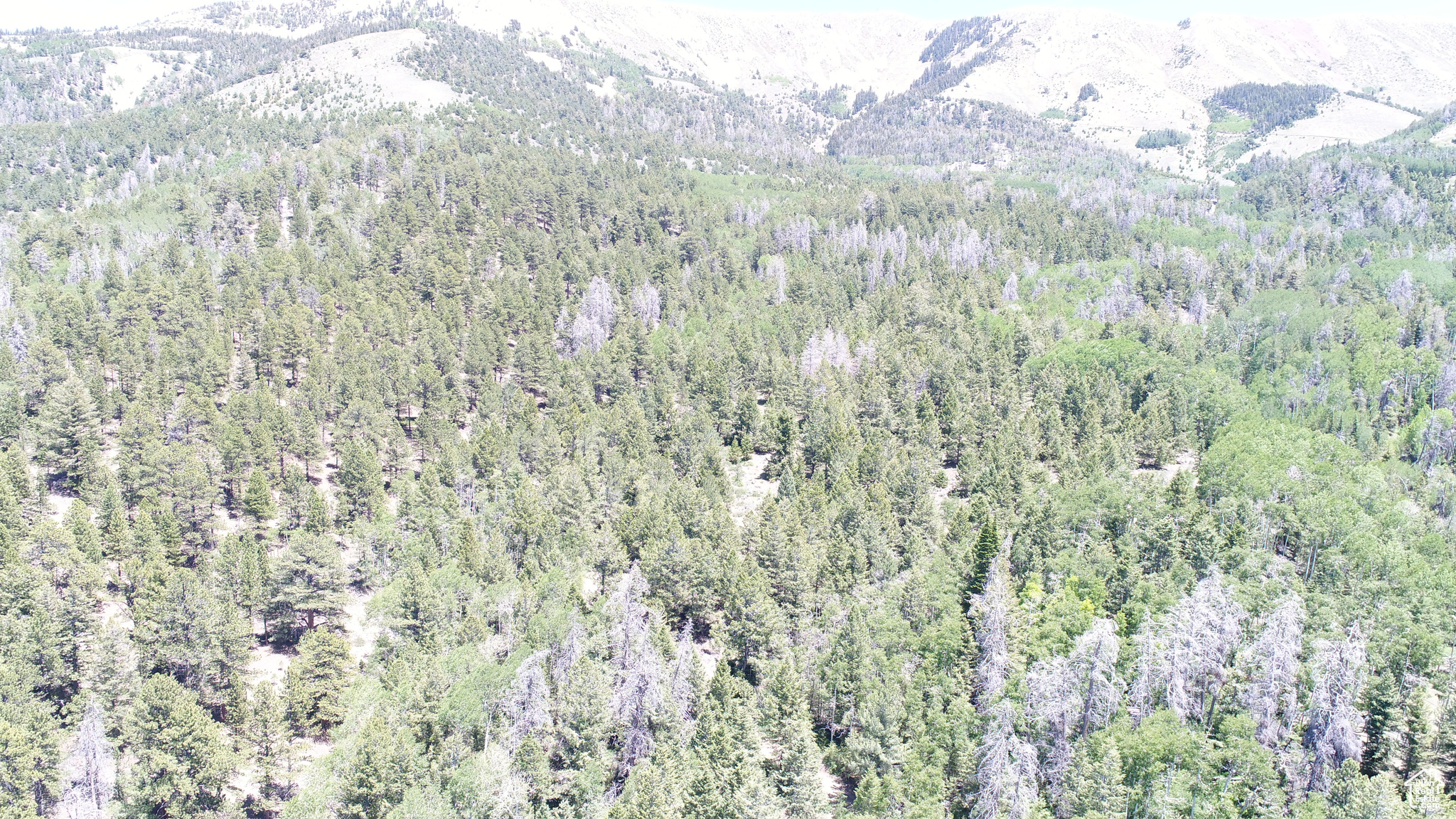 Land, Hanksville, Utah image 2