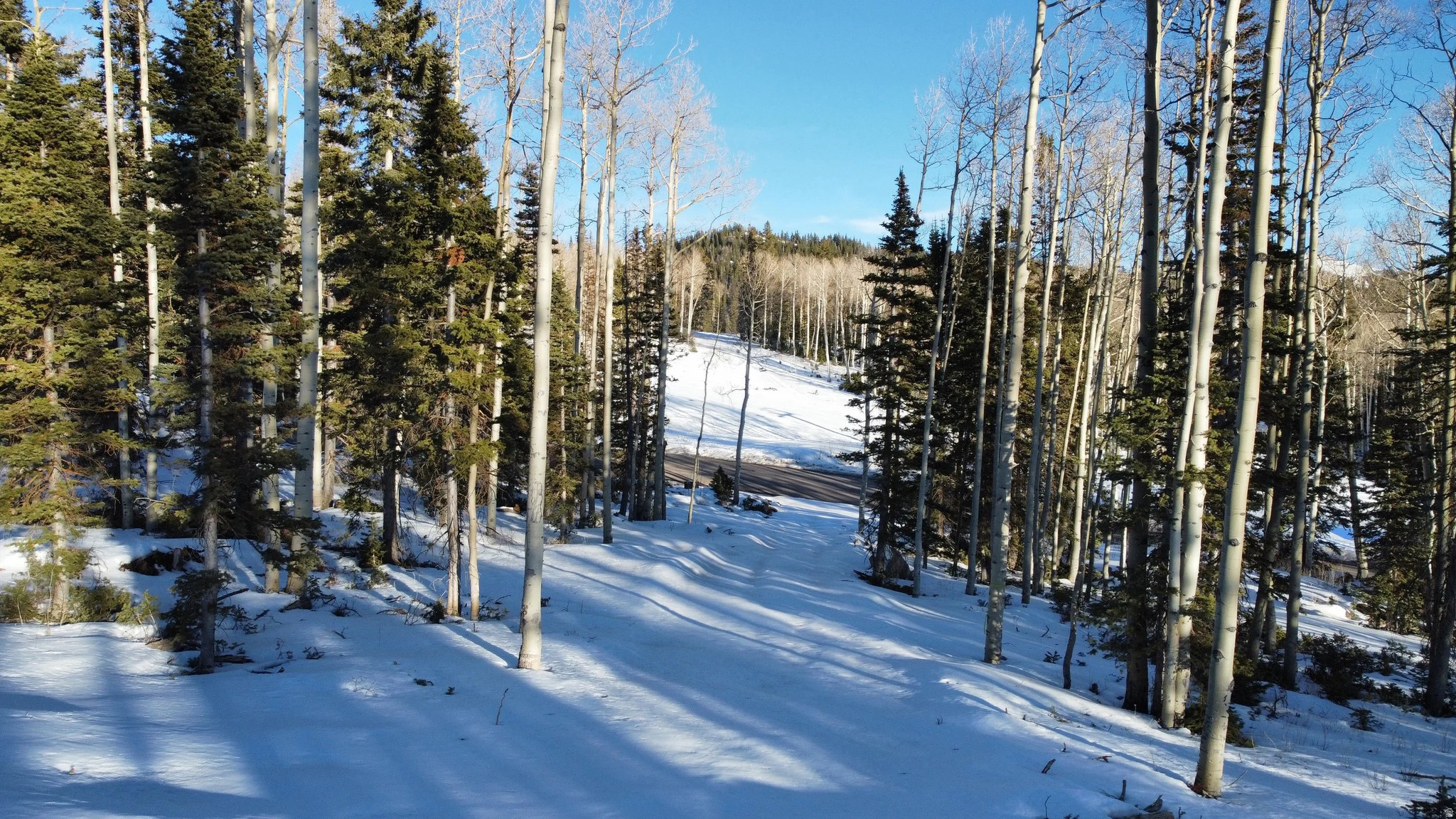 TUSHAR MOUNTAIN ESTATES - Land