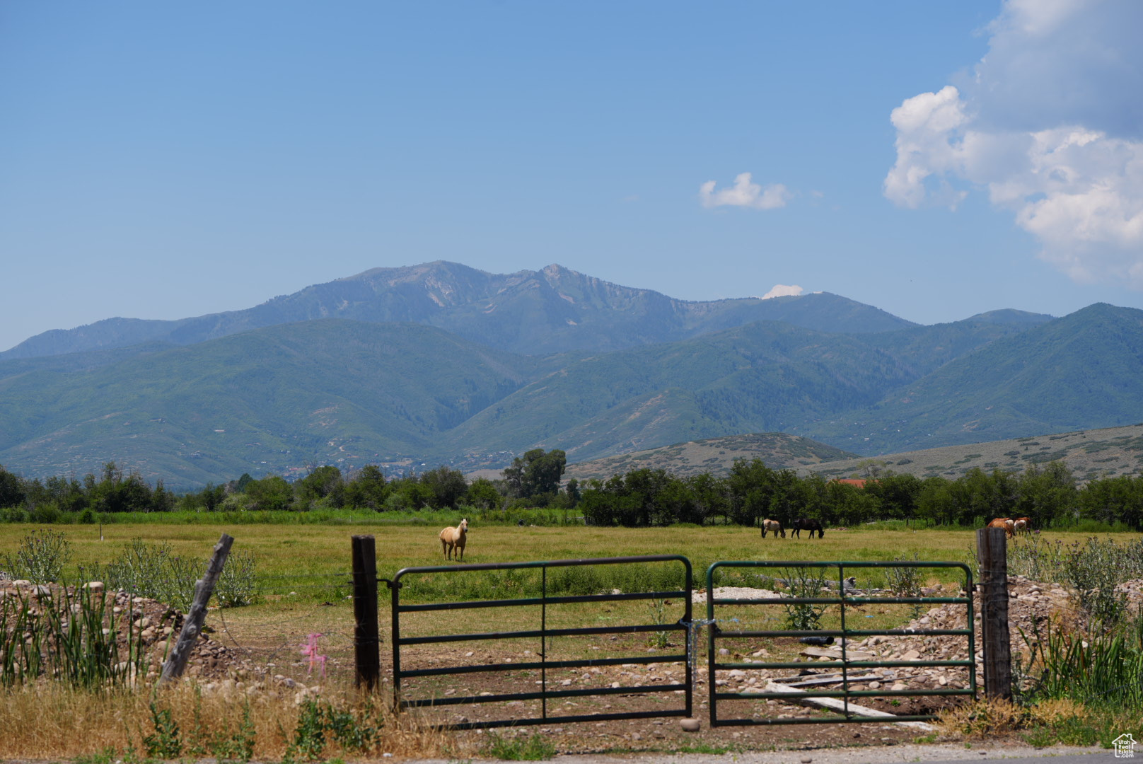 626 W Potter Ln, Heber City, Utah image 1