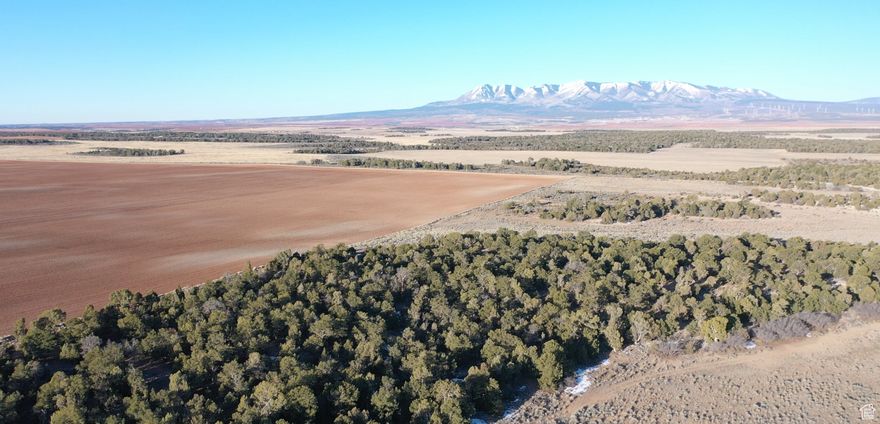High Desert Haven | 100 Acres near Monticello, UT  Welcome to your dream escape in the high desert-100 acres of wide-open freedom nestled just outside Monticello, Utah. This one-of-a-kind property is a rare opportunity to own a slice of the American West, where the sky stretches endlessly and adventure begins at your doorstep.  With panoramic views of the Abajo Mountains to the west and the La Sal Mountains to the north, the landscape is nothing short of breathtaking. Wildlife roam freely across the sage-dotted terrain-deer, elk, and wild turkey making regular appearances. Whether you're on horseback, ATV, or your own two feet, this land invites exploration.  A haven for equestrian lovers, this is prime horse country. The gently rolling topography, natural grasses, and wide-open range make it ideal for riding, grazing, and building your dream barn or corral system. And with ample sunshine and fertile soils, the property also offers strong agricultural potential-perfect for those looking to homestead or start a small farm operation. This property has a wonderful mixture of high desert forest with mature pinion pines and junipers, as well as many acres of wide open spaces, set in a landscape of gently rolling topography that maximize views, usability, and interest. Just a short drive from iconic outdoor destinations like Moab, Canyonlands, and Arches National Park, this location is a springboard to world-class hiking, rock climbing, river rafting, and off-roading. And when the day's adventures wind down, you'll find unmatched peace and quiet under star-filled skies. Whether you're seeking a private retreat, a working ranch, or a basecamp for epic outdoor living, this property embodies the beauty and wonder of southwest Utah and the Colorado Plateau.  At a Glance:  100 Acres of usable, scenic land  Stunning mountain views in all directions  Ideal for horses, livestock, and agriculture  Abundant wildlife and natural beauty  Minutes to Monticello and under an hour to Moab  Close to national parks, BLM land, and outdoor recreation  Offered by Hayden Outdoors.